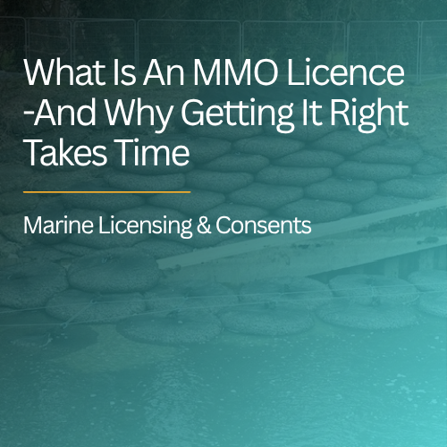       
  
    What Is an MMO Licence – And Why Getting It Right Takes Time  


  
 #block-yui_3_17_2_1_1783930289201_3069 {
    
    --stroke-style: none;--stroke-thickness: 2px;
    
      --tweak-text-block-stroke-color: hsla(var(--black-hsl), 1)
;