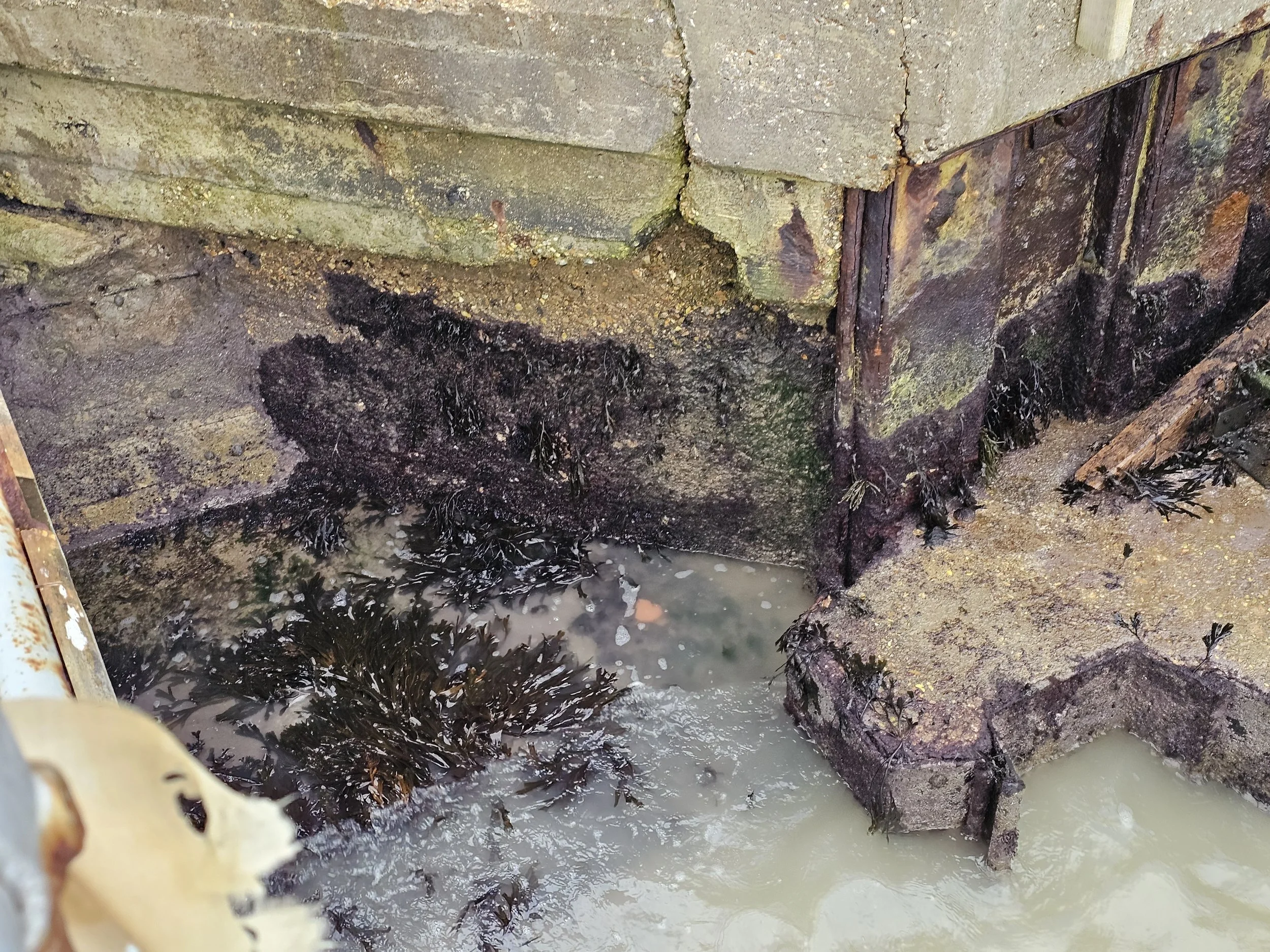 Concrete deterioration on marine seawall