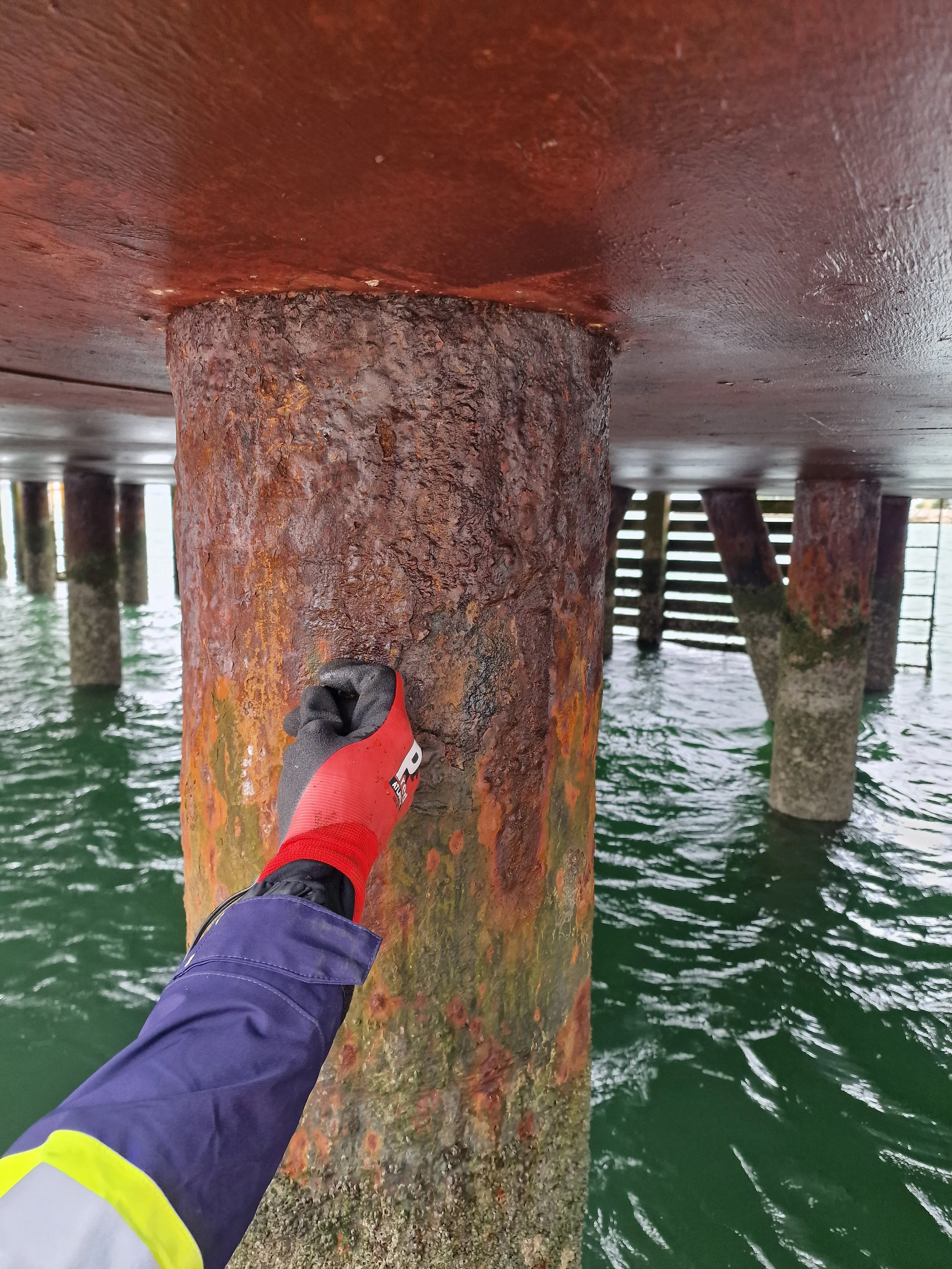MARINE ASSET SURVEY
