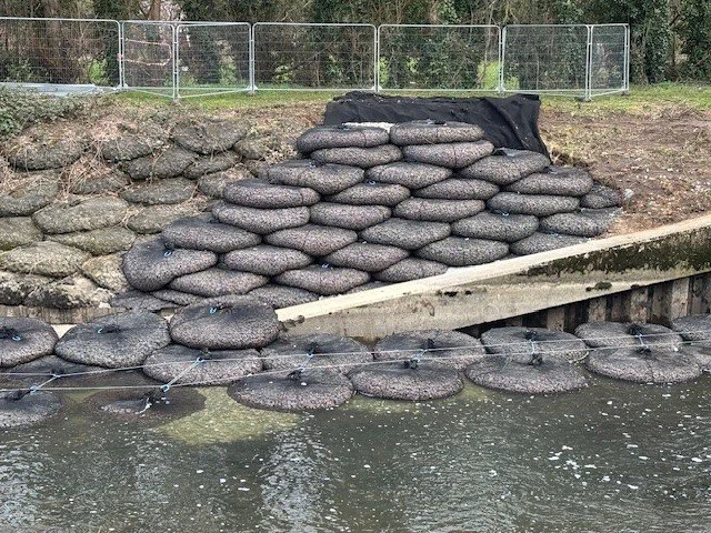 rock bags