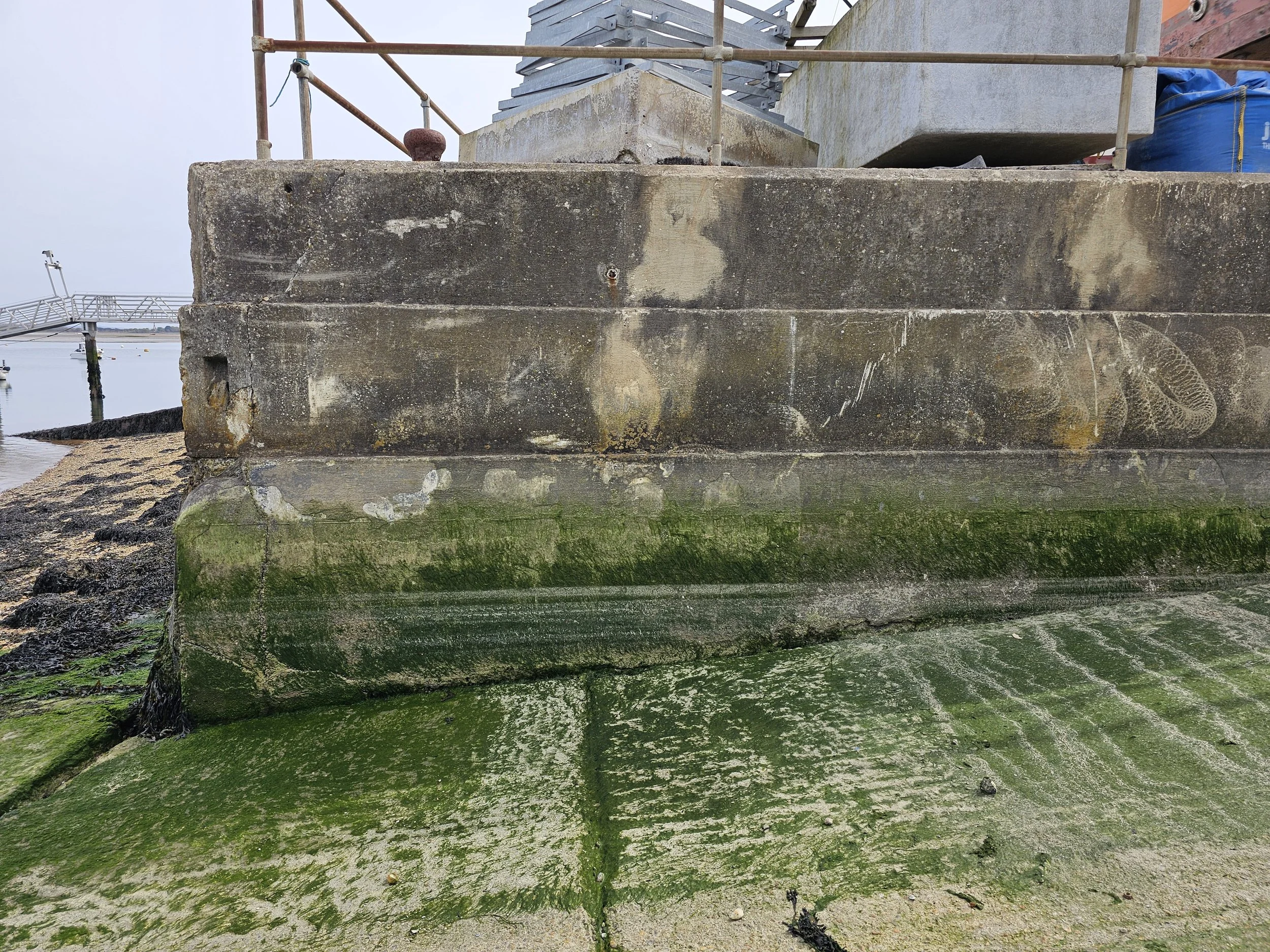 Wall Inspection