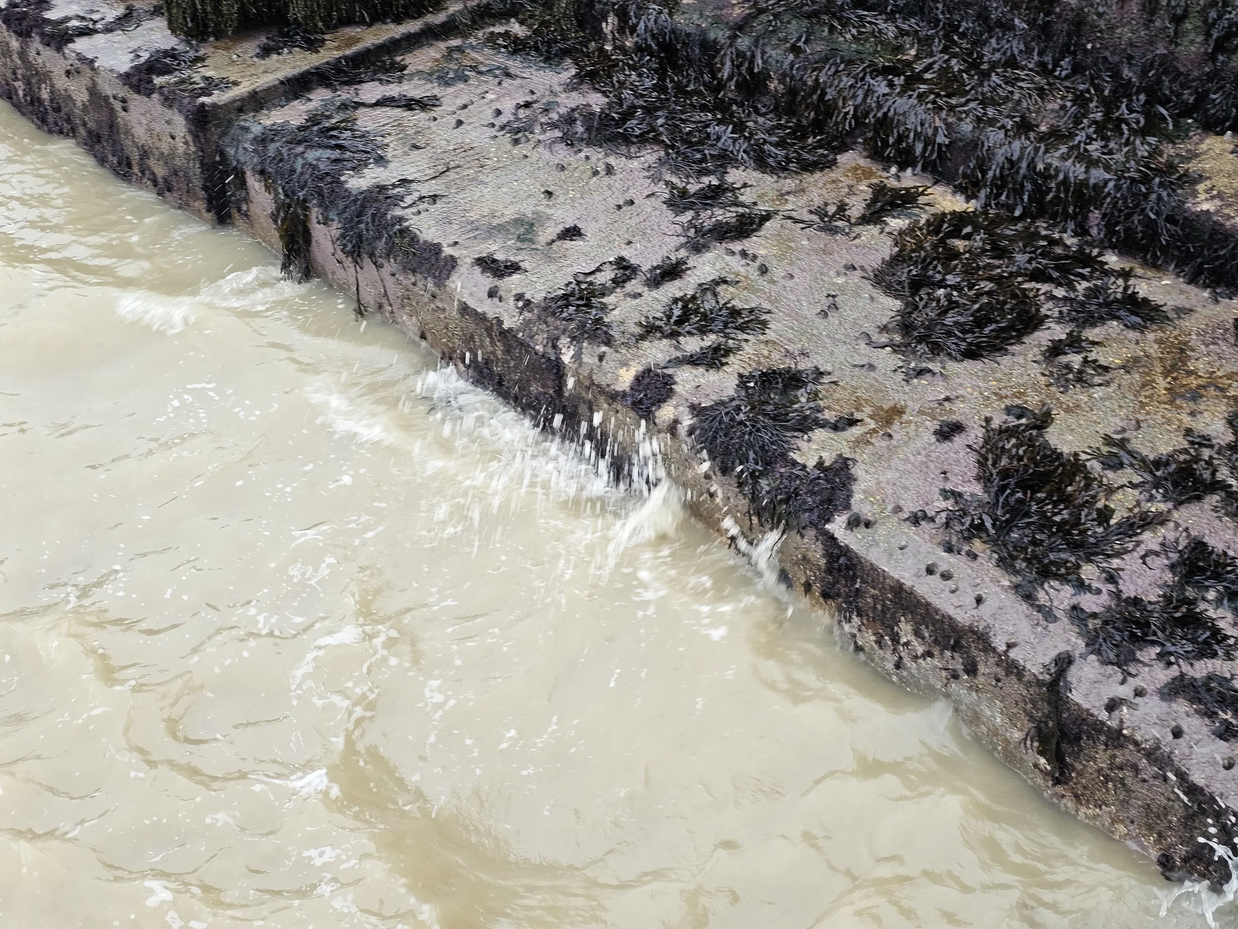 Sea Wall Inspections