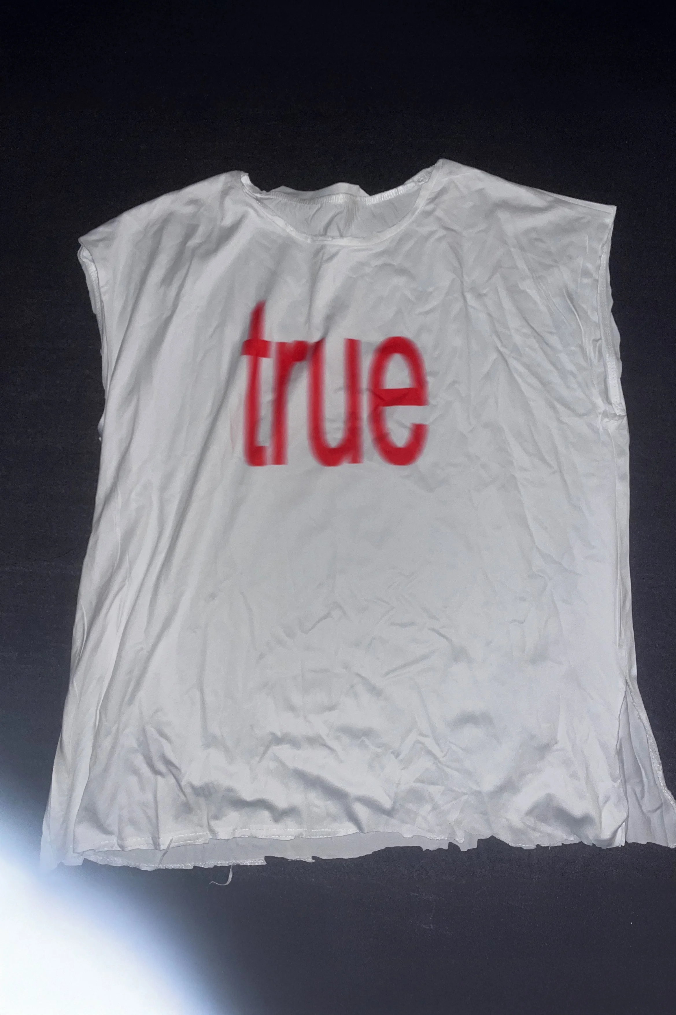 true no tail front 2.jpg