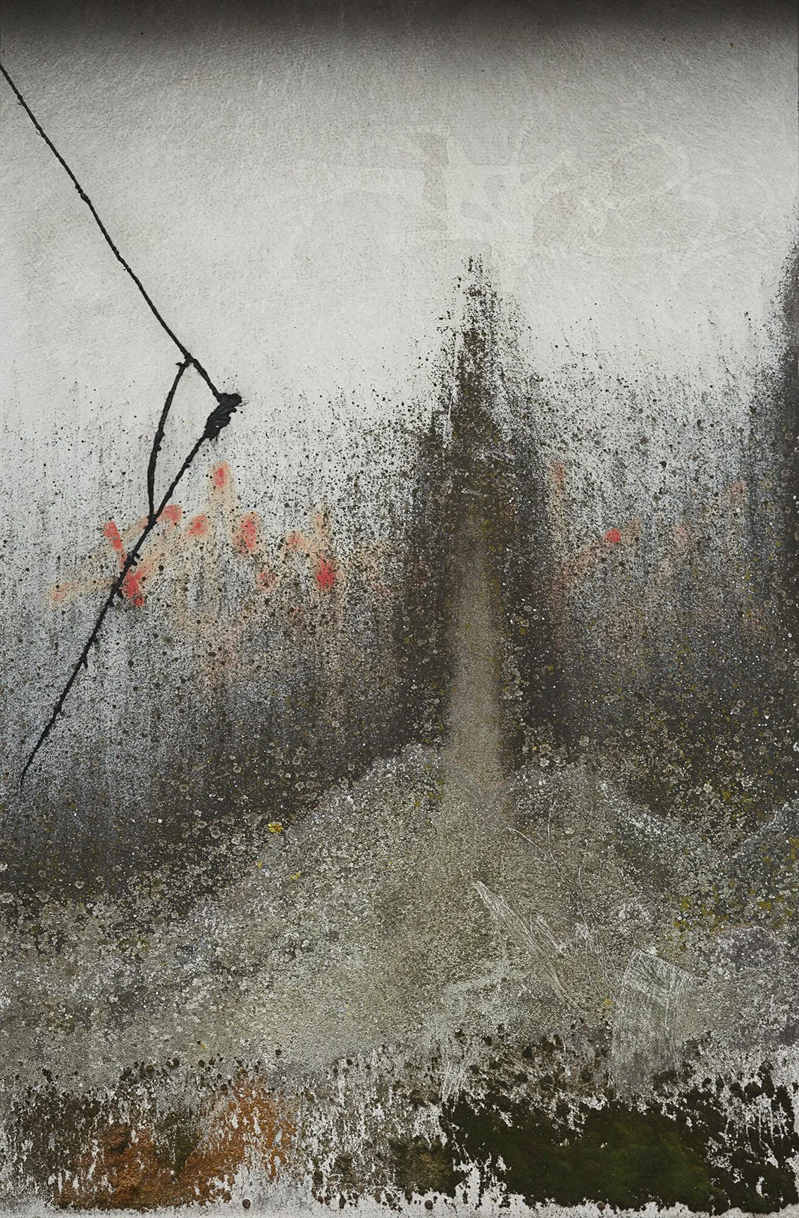 Beinahe übersehen – Claudia Leuenberger