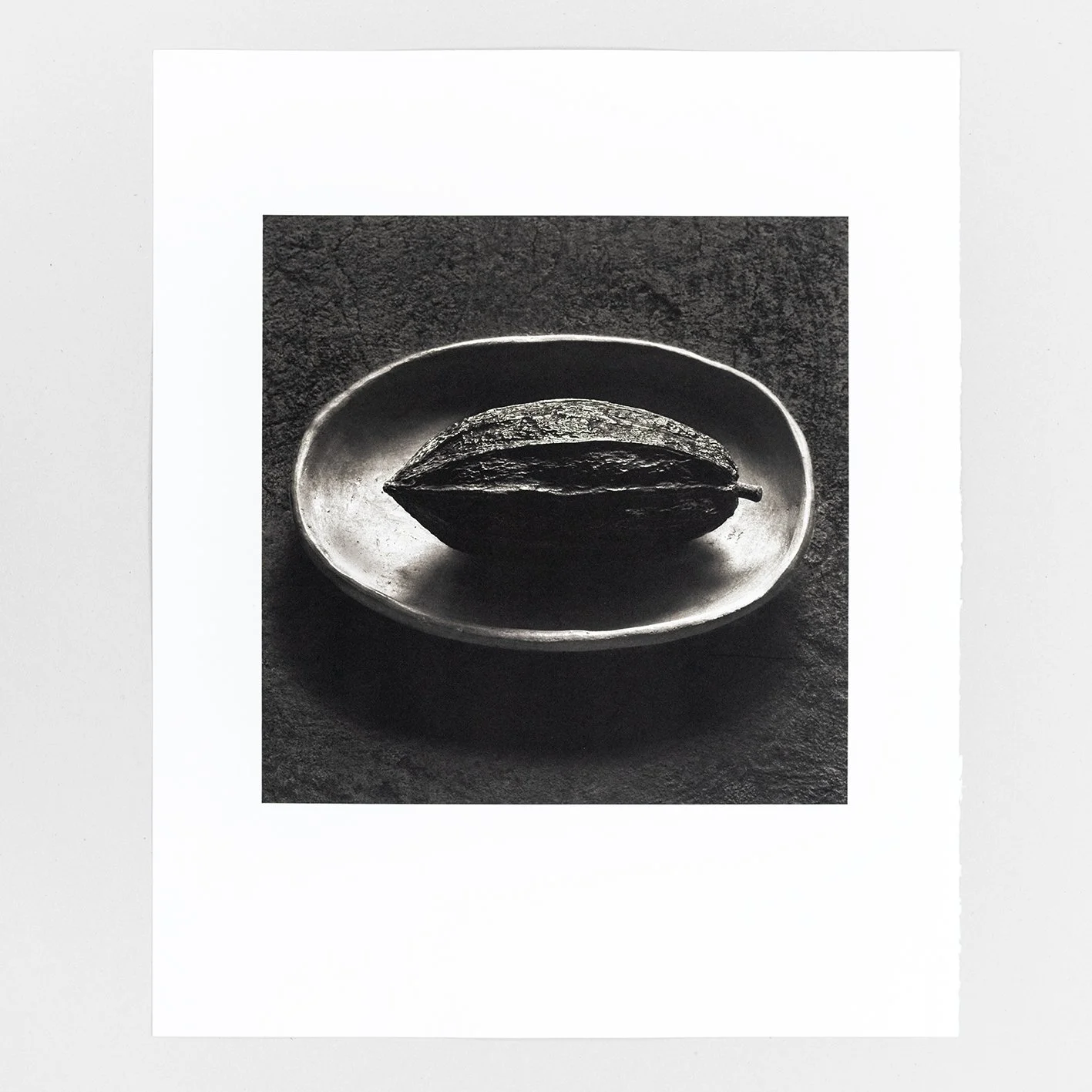 Platinum-Palladium Prints