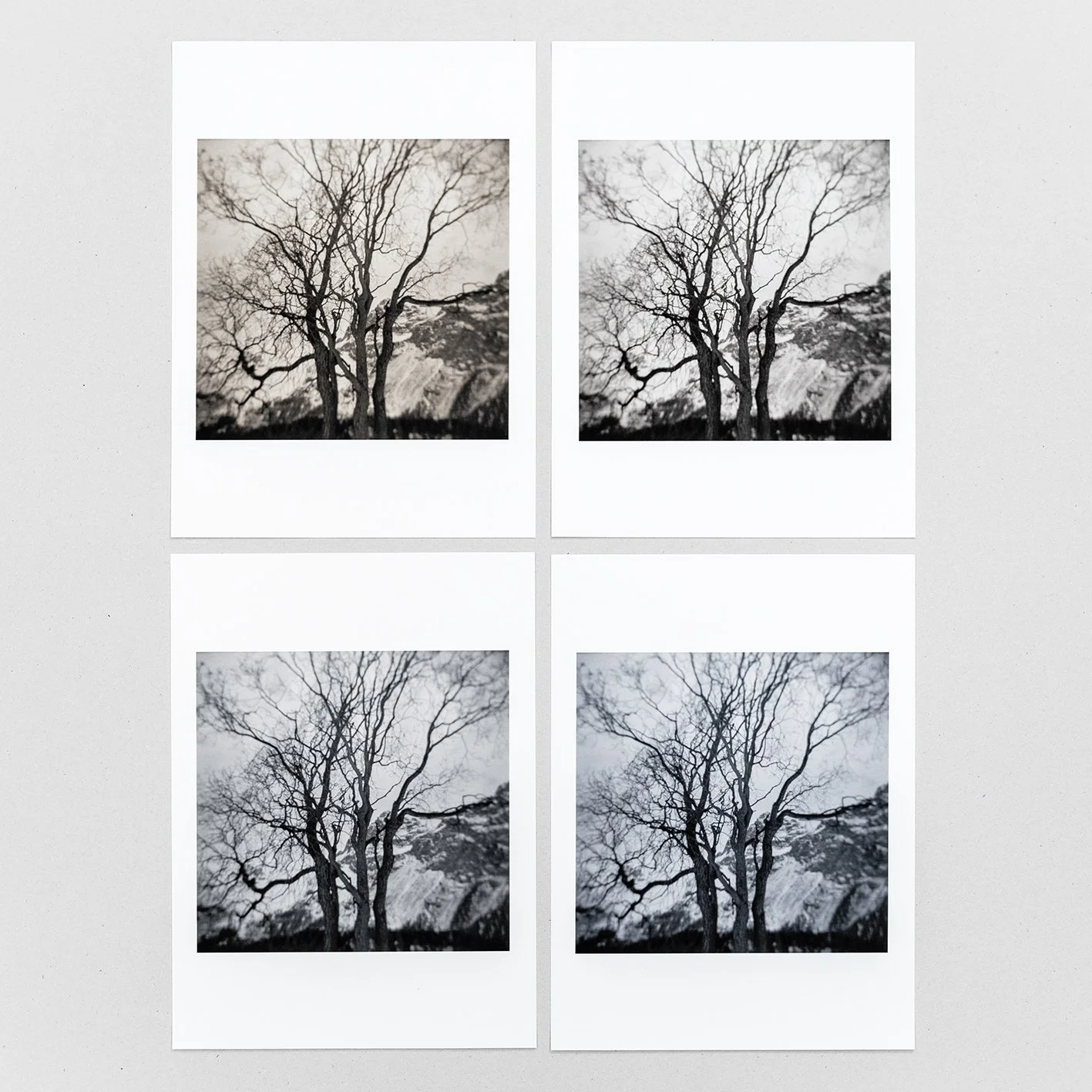 Piezography Prints