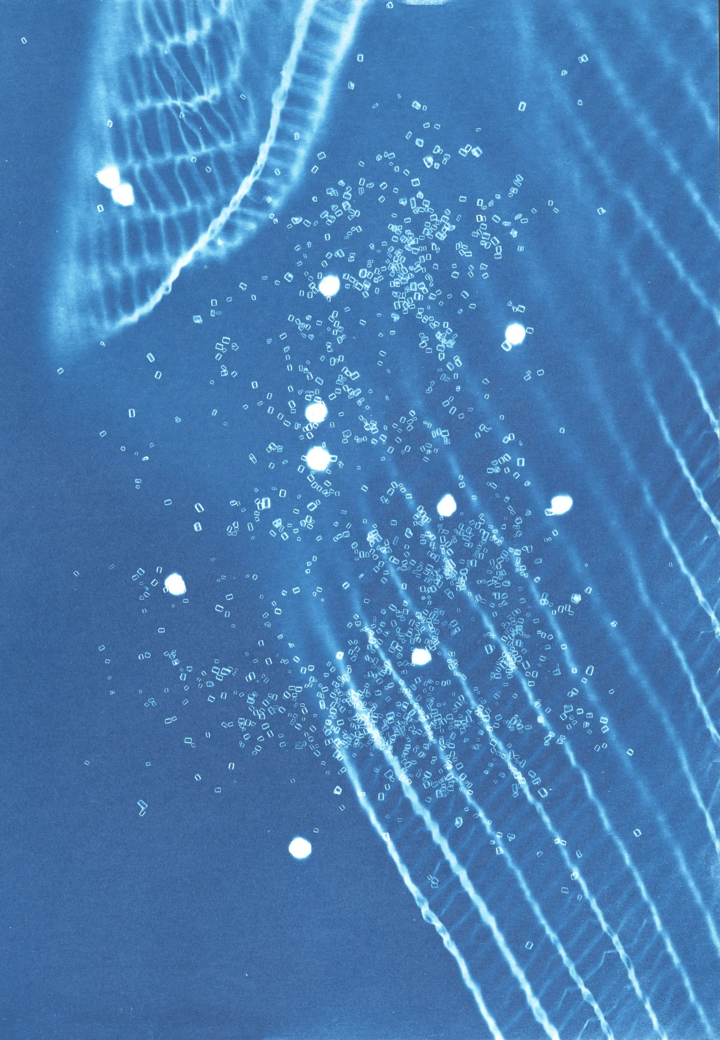 We offer cyanotype workshops. Discover the fascinating world of blue tones, and create photograms or cyanotypes from digital negatives.