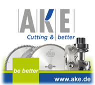 logo AKE.png