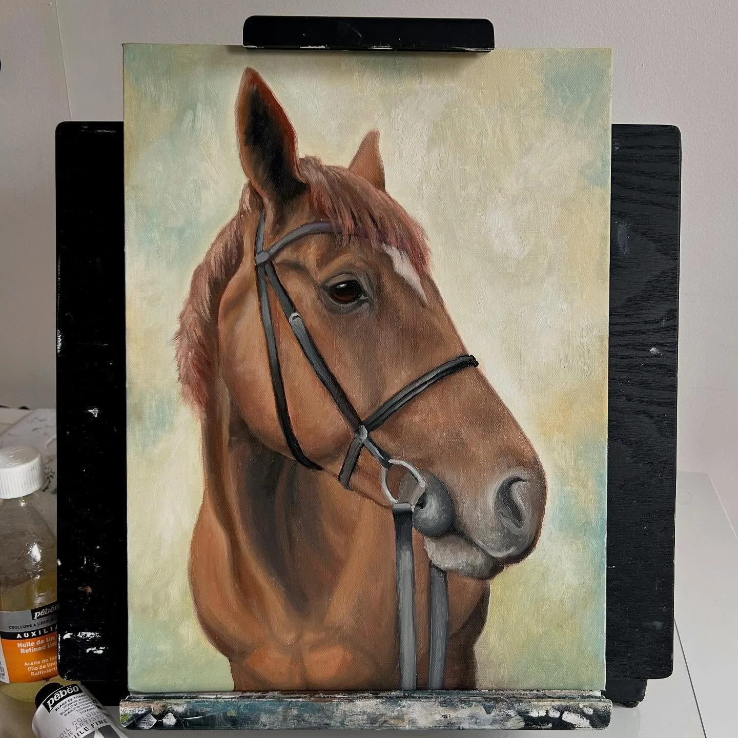 Final portrait of Storm before varnishing 🎨
#horseportrait #horsepainting #petportraits #horseartist