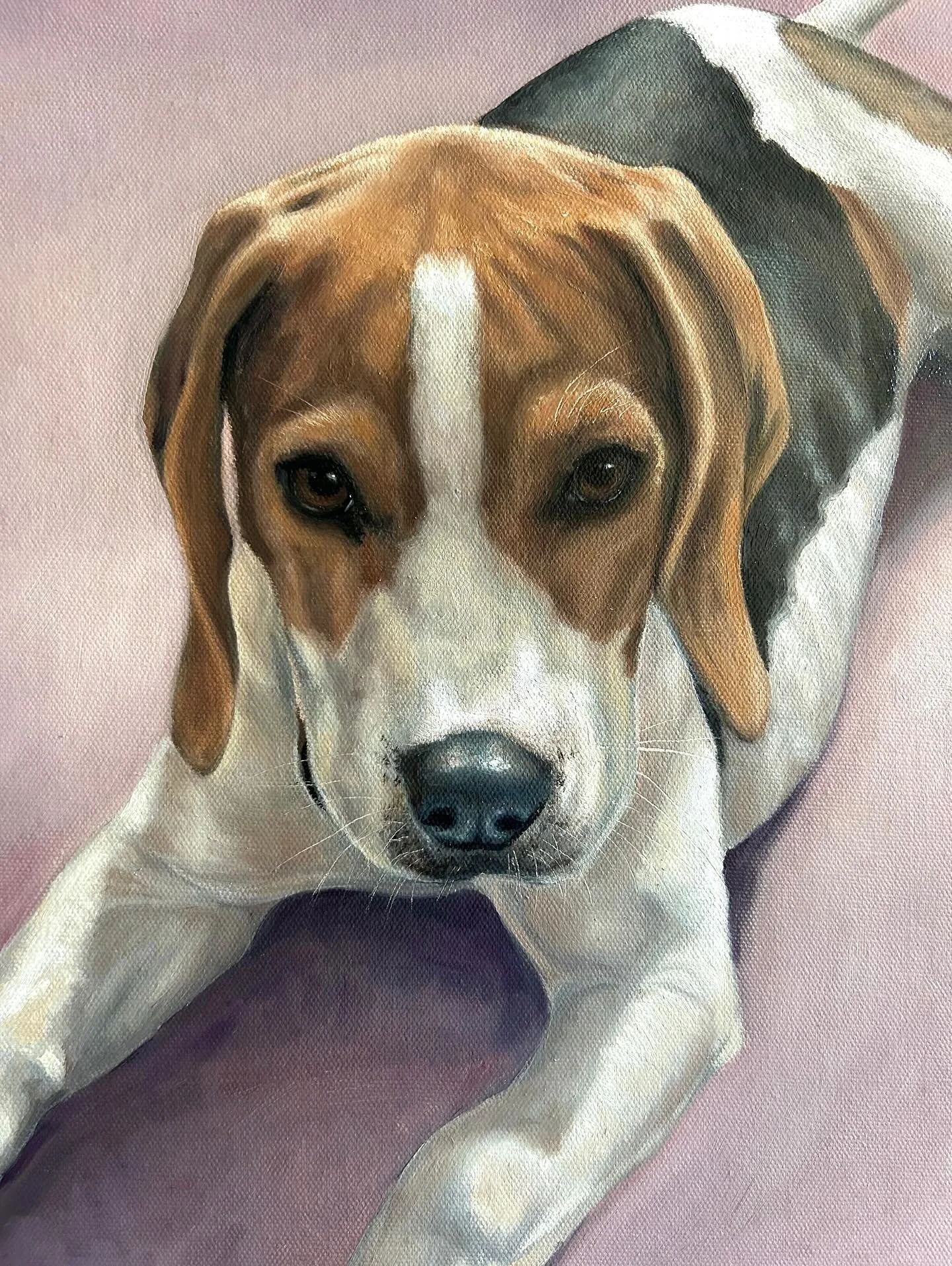 Meet little Alan, the Beagle 🤝
Commissioned as a special birthday present. 12x16” in oil paint. 
#dogpainting #dogportrait #beaglepainting #beaglelover