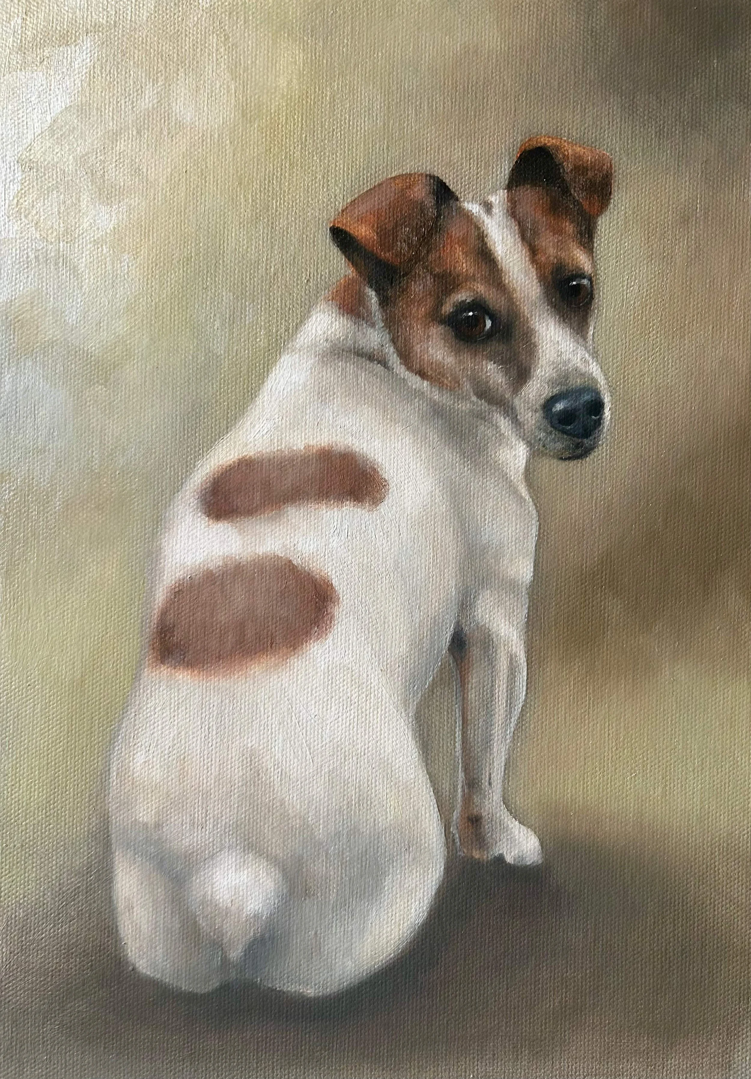 Jack Russell Pet Portraitjpg.jpg