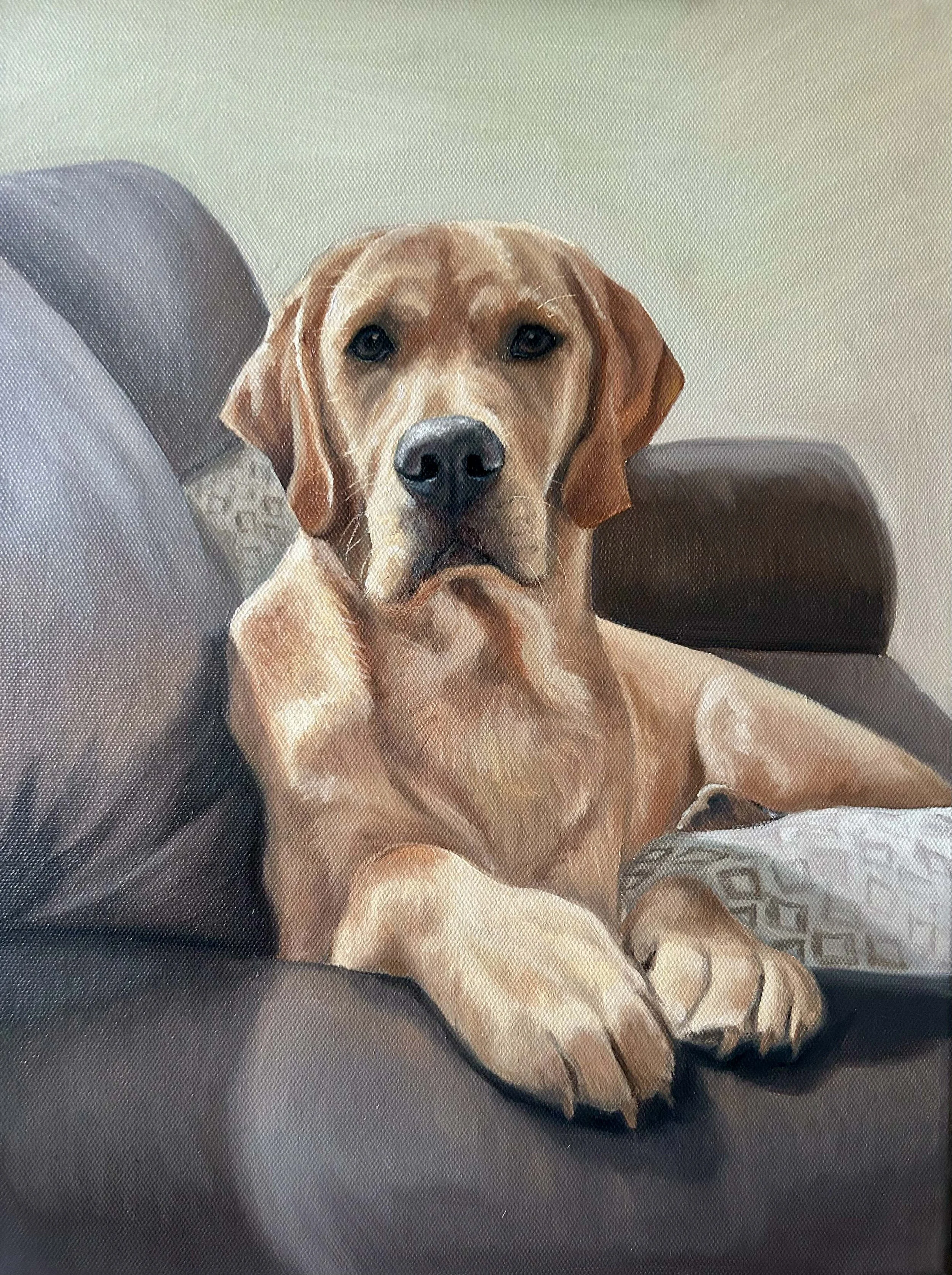 How to Commission a Pet Portrait in Ireland — A Complete Guide