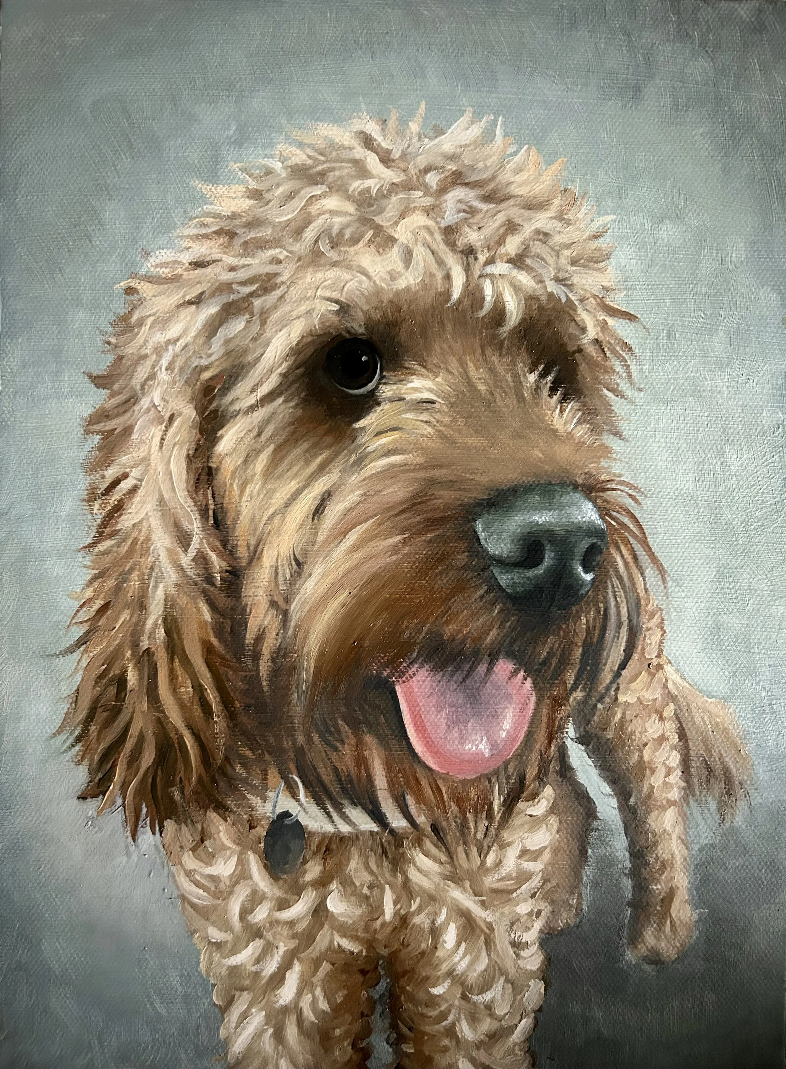 Custom oil painting of a Cockapoo dog portrait by UK artist, Paw and Mane.