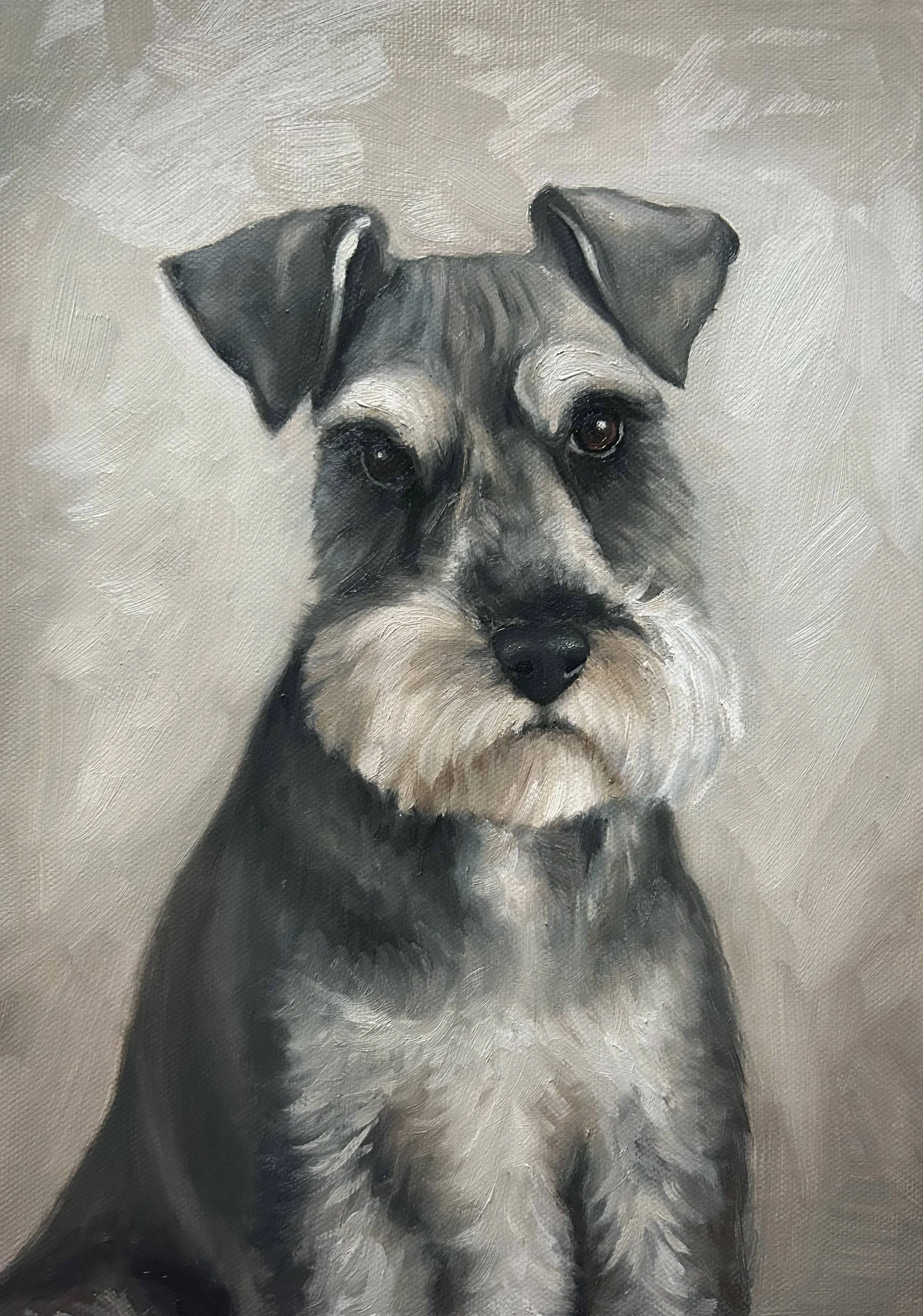 Schnauzer.jpg