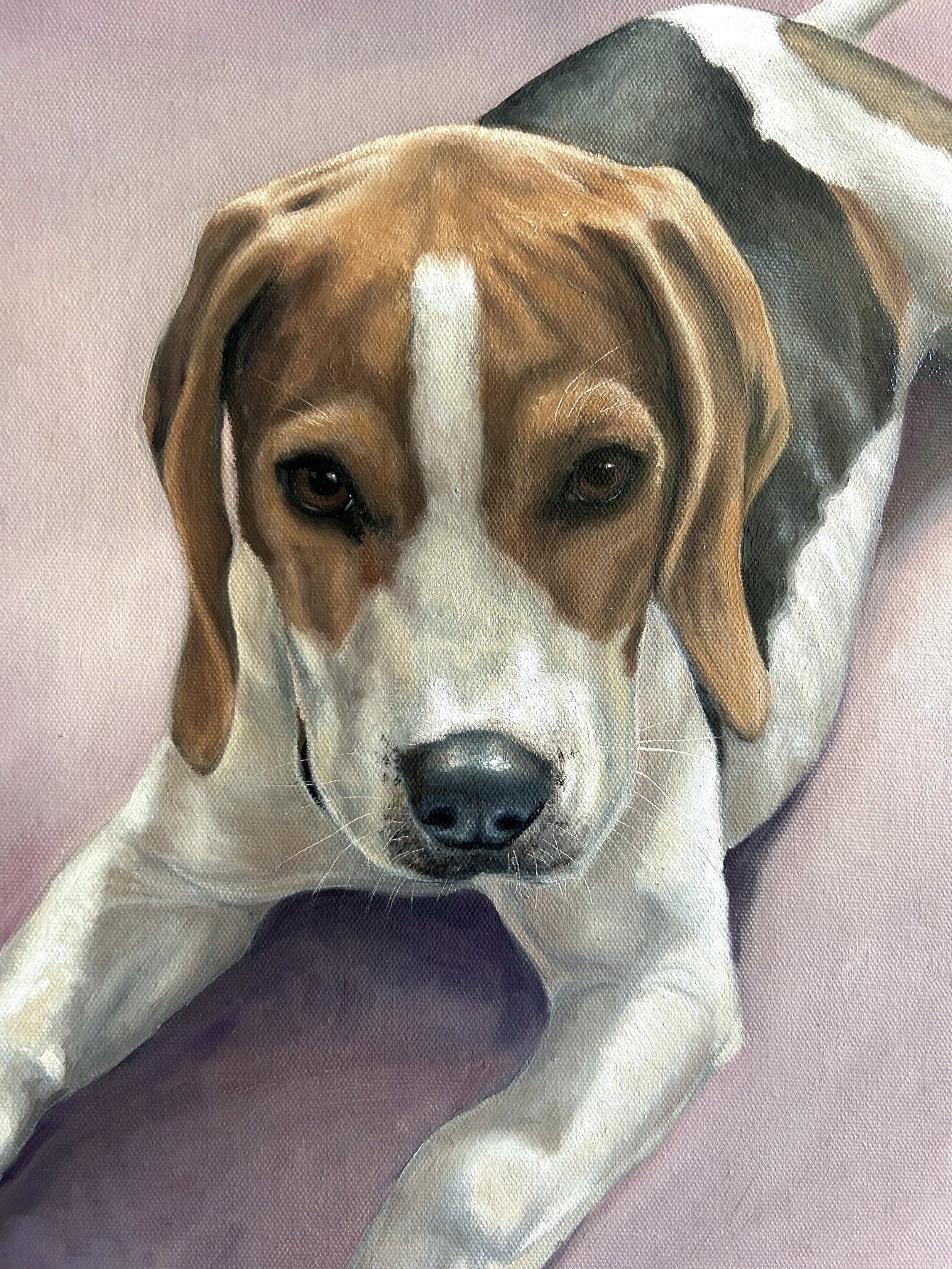Close-up of a realistic painting of a beagle dog lying down on a pink surface, looking directly at the viewer.