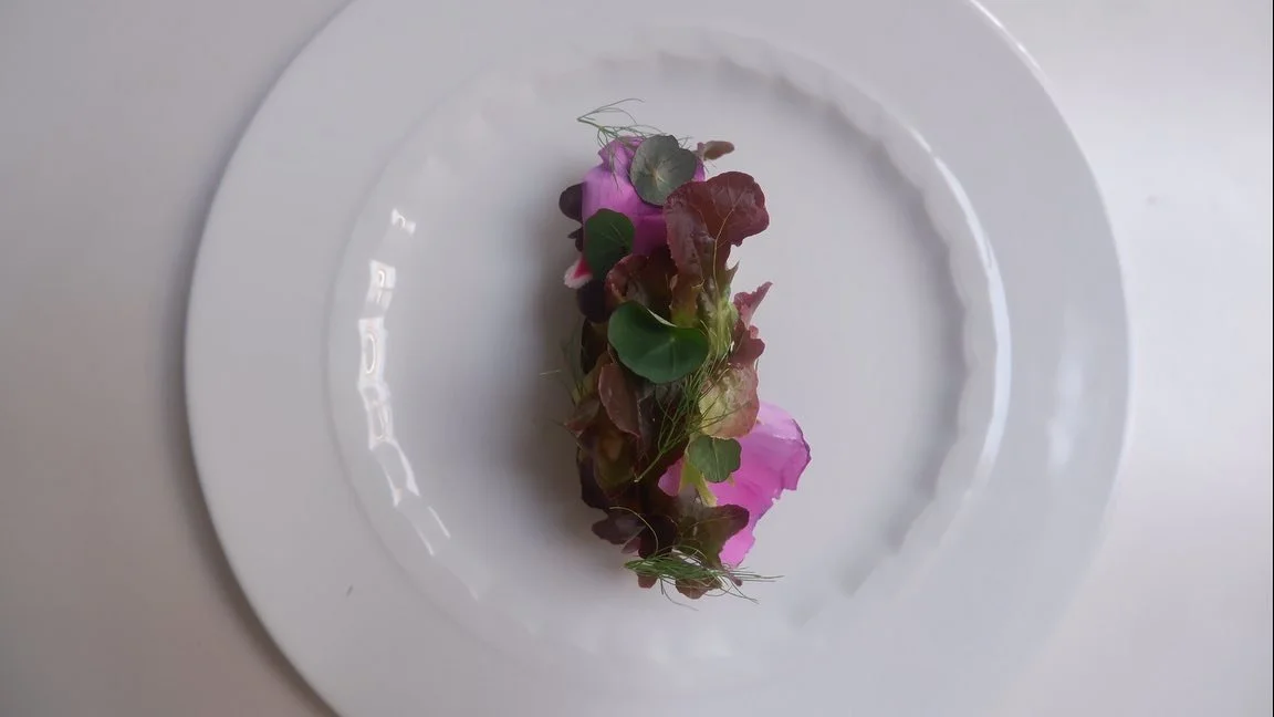 Tuinbonen, Courgette, Hibiscus