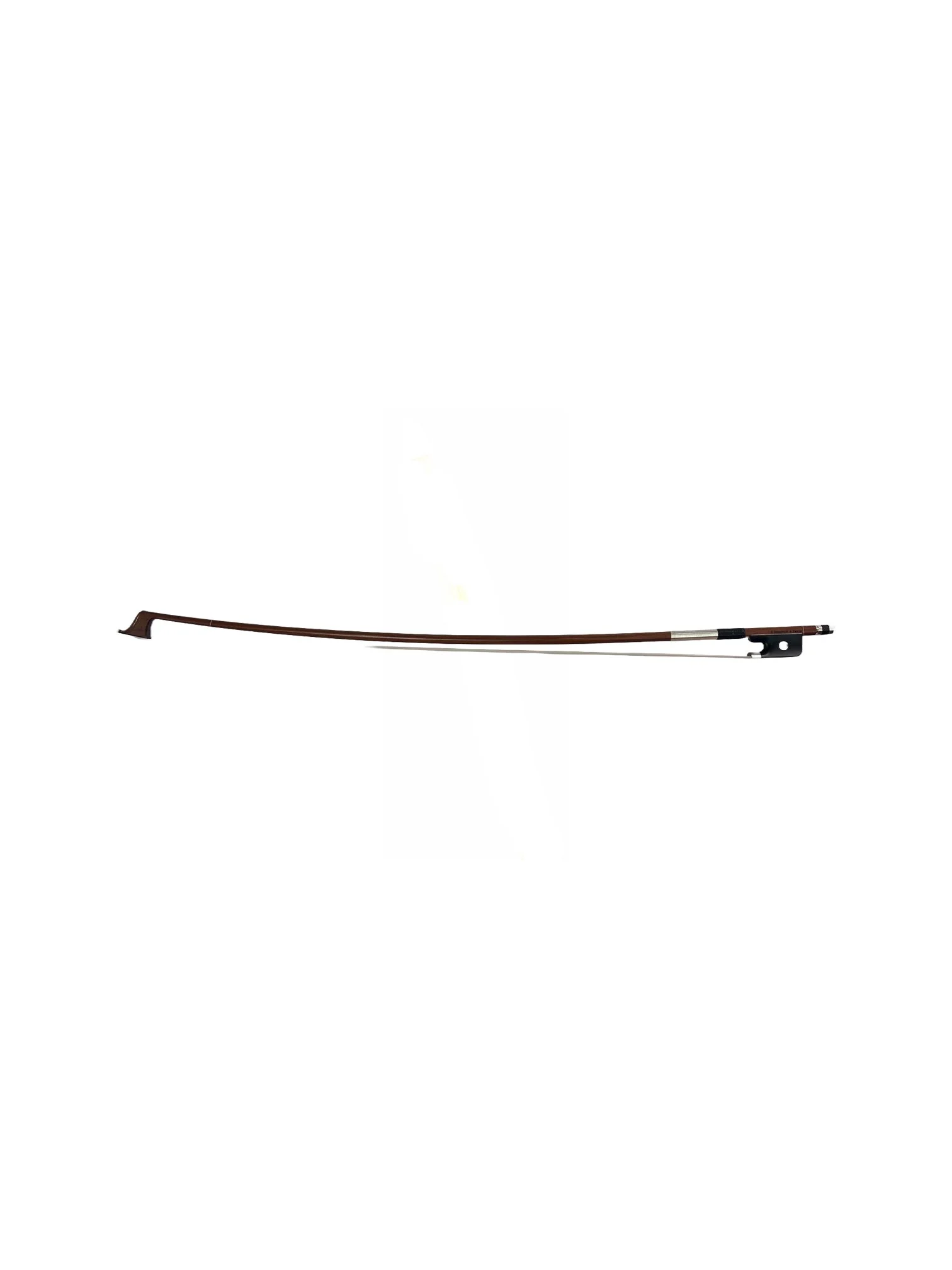CELLO SARTORY BODY.jpg (Copy) (Copy)