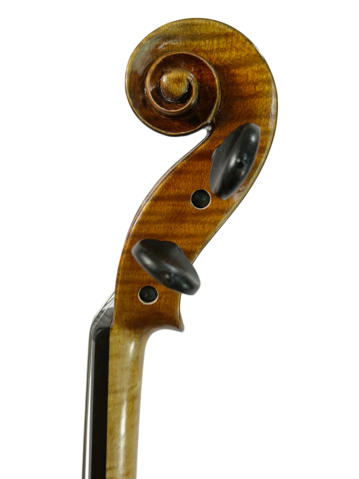 Donato Guarneri Line- Guarneri Ole Bull 1744 Violin 4/4 Size VN990G ...