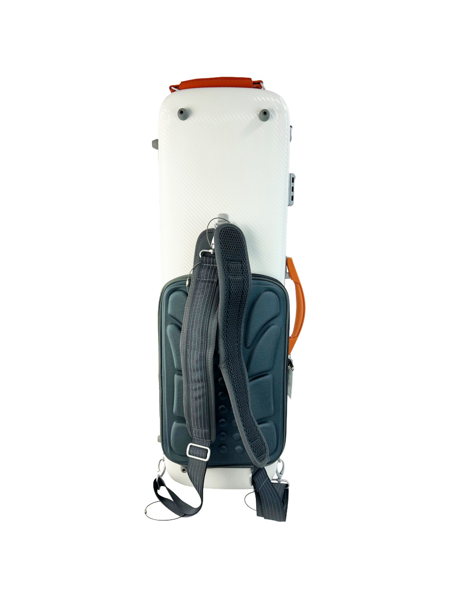 CA3B71C1-WHT 3.jpg