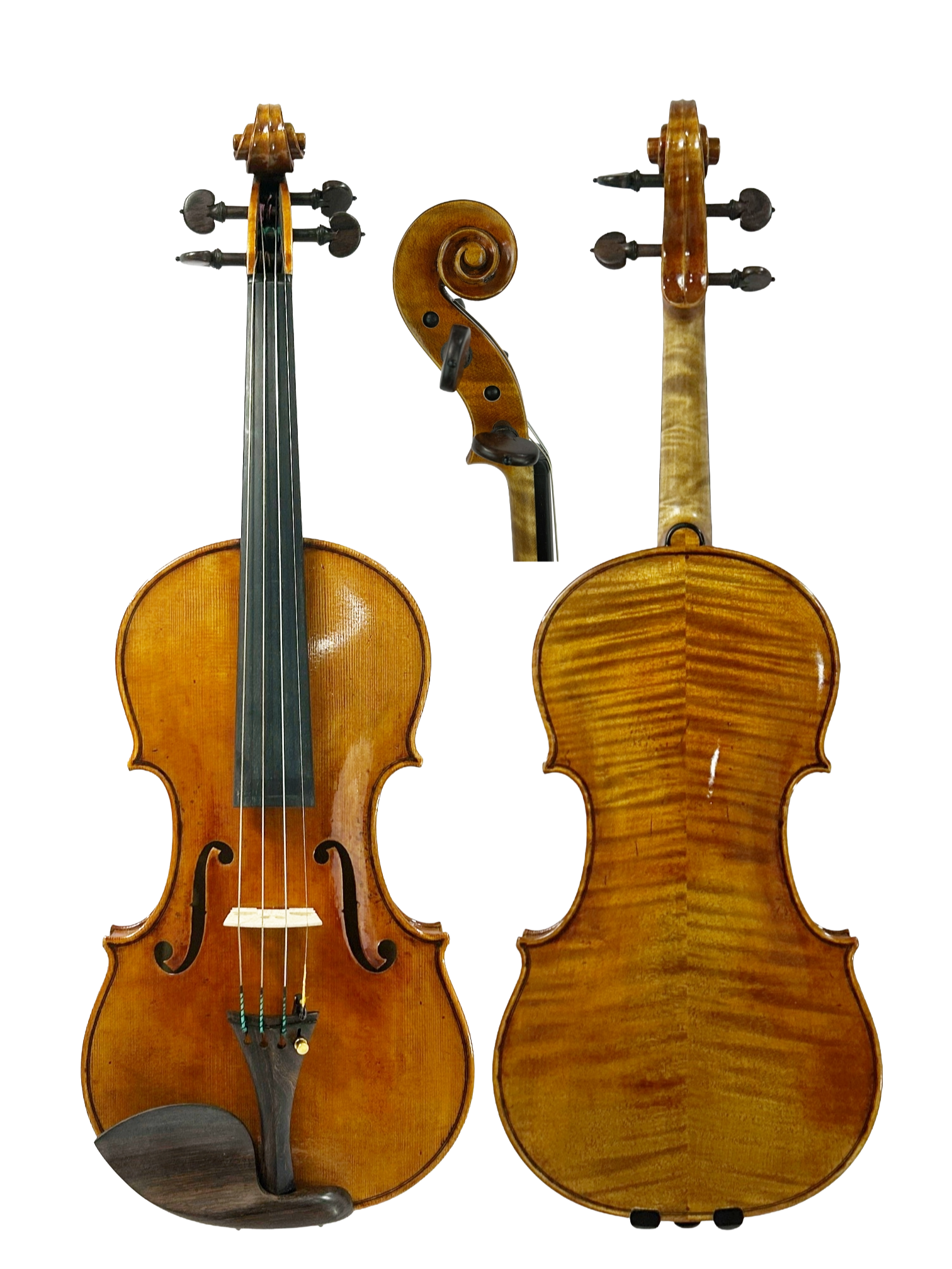 1740 heifetz trans.png