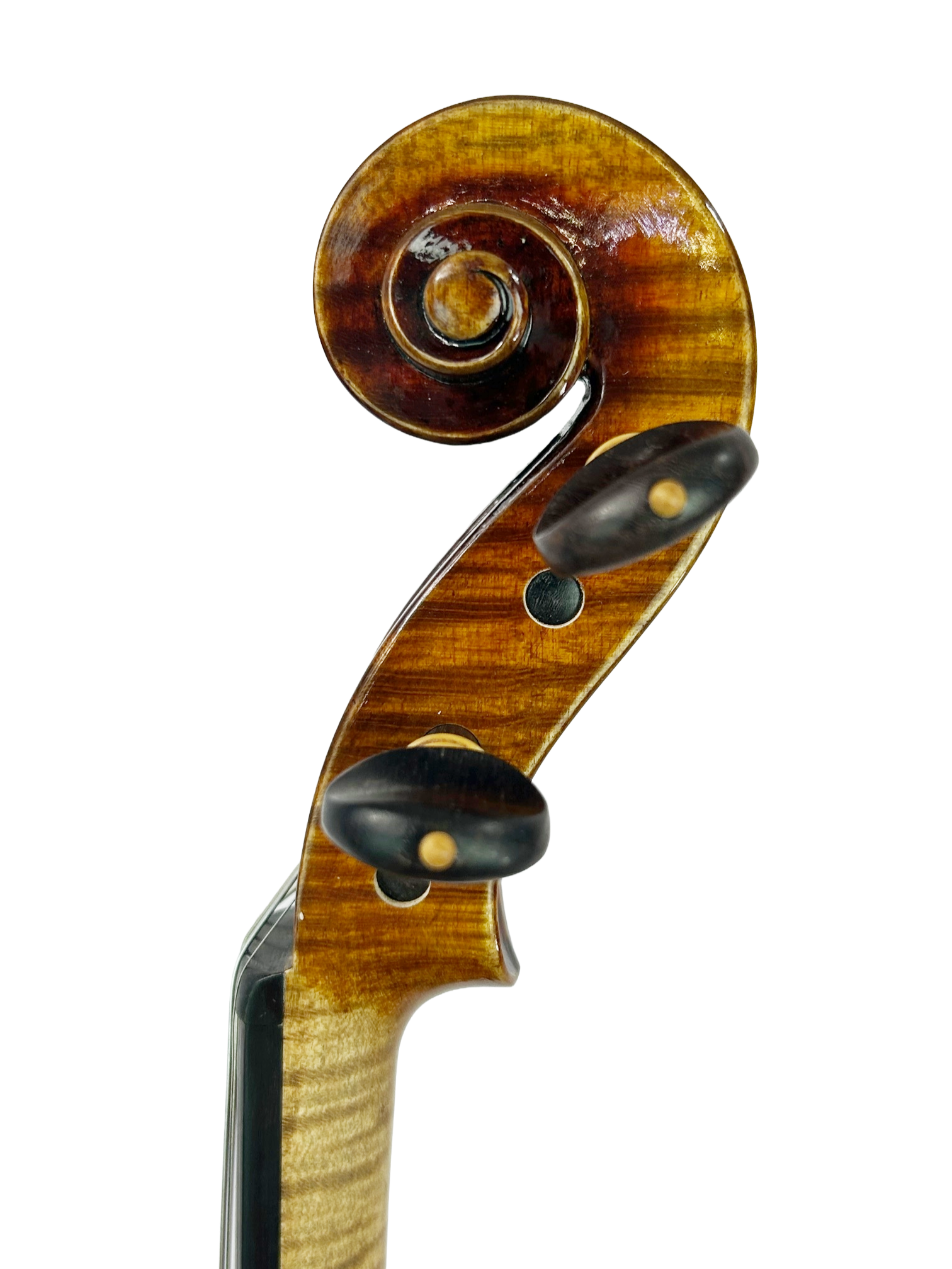 1666 amati (13).png