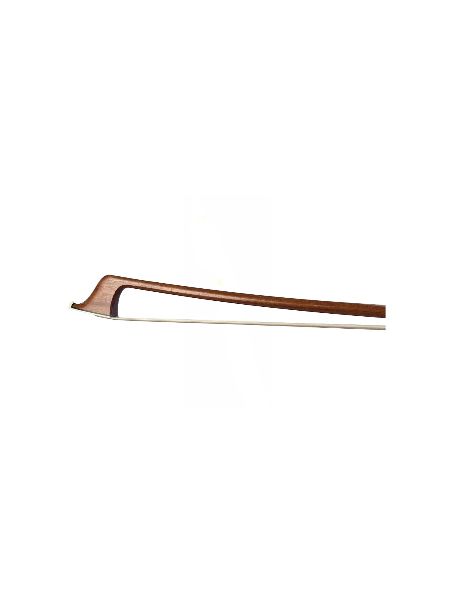 CELLO SARTORY HEAD.jpg (Copy) (Copy)