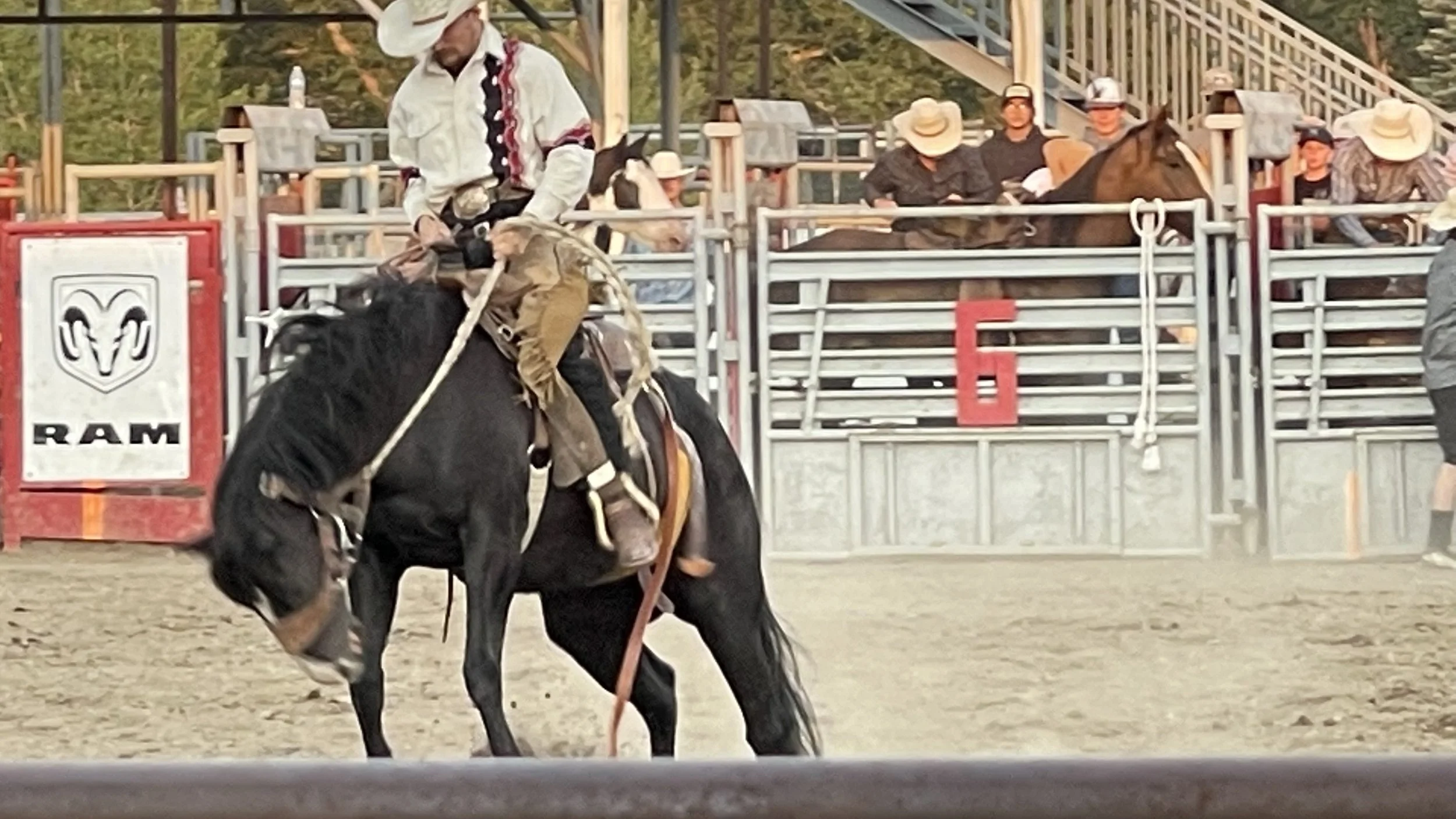 Big Sky PBR: A Montana Tradition of Grit, Glory, and Community
