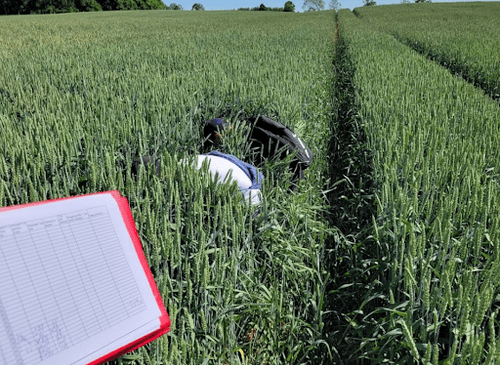 Further Research Activities 2024