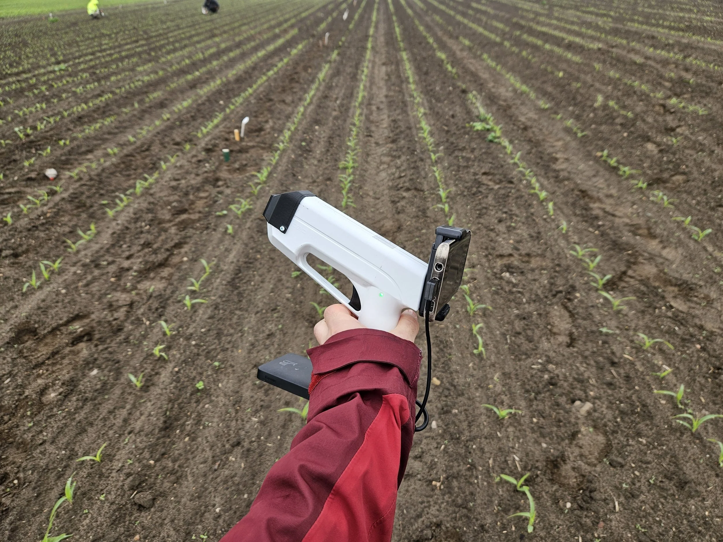 Expanding the ScanSpectrum Database with AgriFoodTEF Support – Phosphorus and Potassium Deficiency Stress