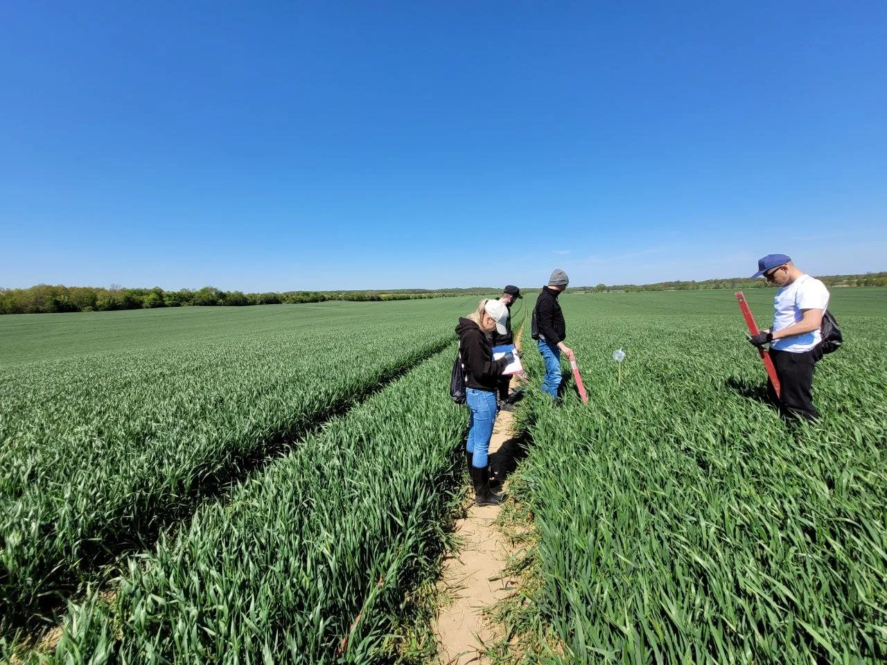 ScanSpectrum Field Testing on Farms – More Farmers Join Technology Validation
