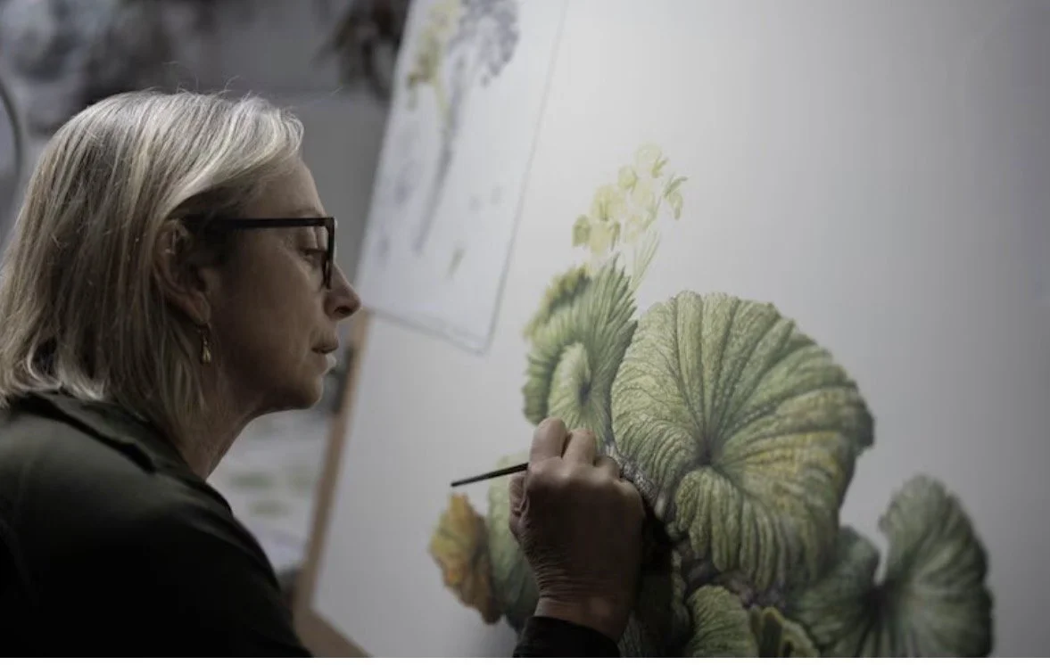 Talk: Maura Chamberlain “Paintings of native plants in conservation programme, Macquarie Island, Tasmania.”