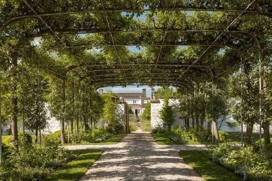 Talk: Mary Ellen Taylor & Helen Allen "Oak Spring Foundation Botanical Art Residency"