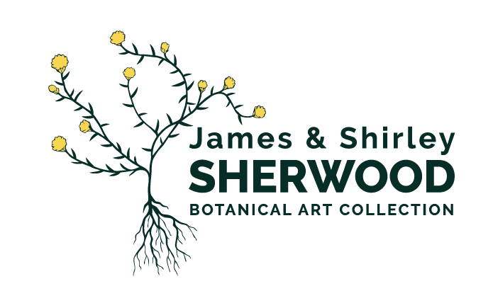 New Botanical Art &amp; Photography Show in Southern Africa