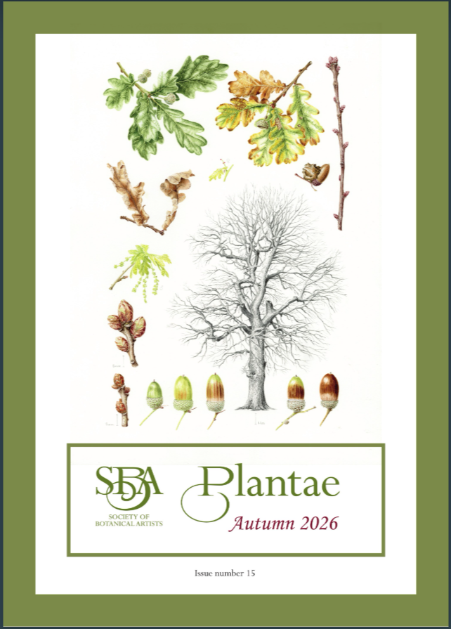 SBA Plantae Autumn Magazine, September 2026
