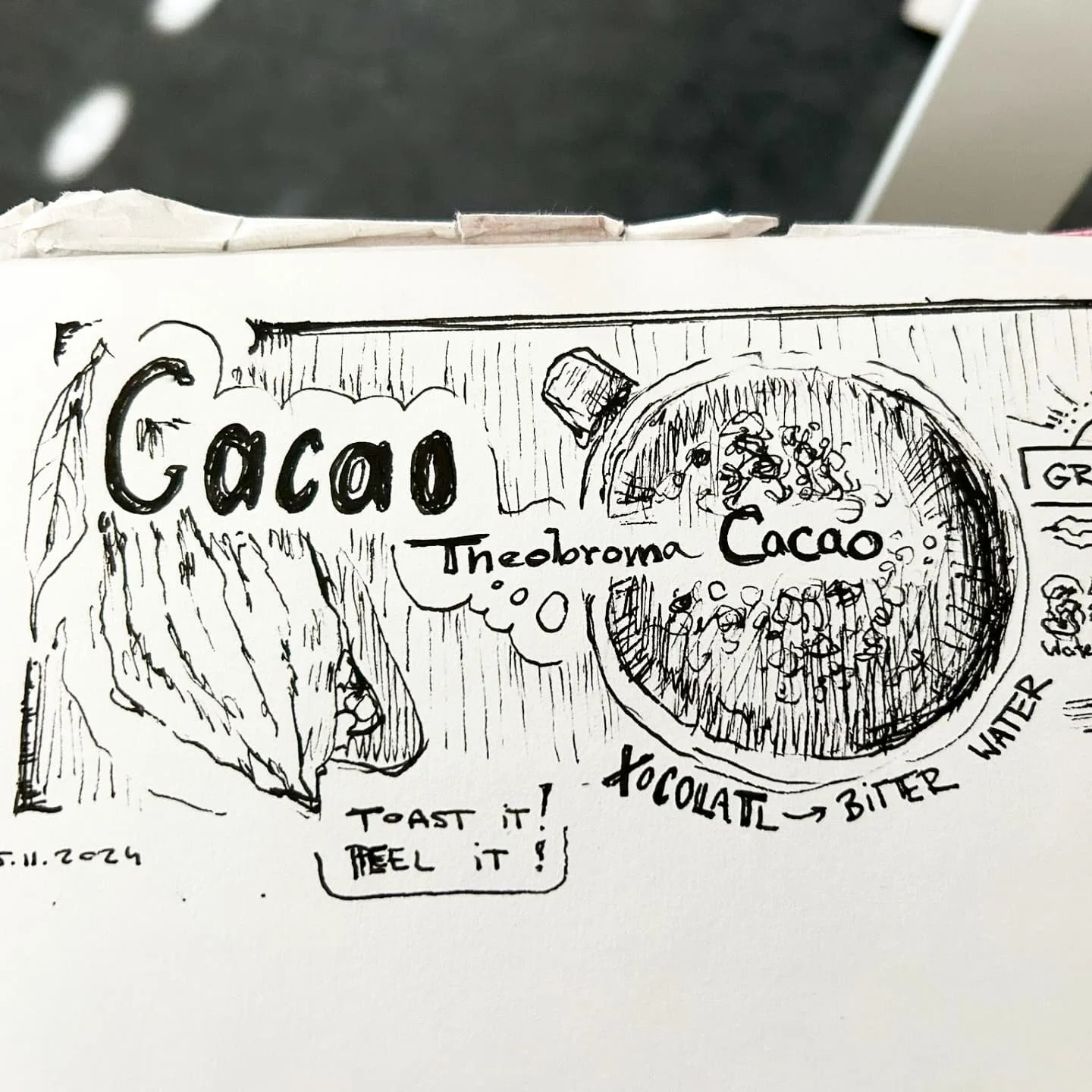 cacaoamerican10.jpg
