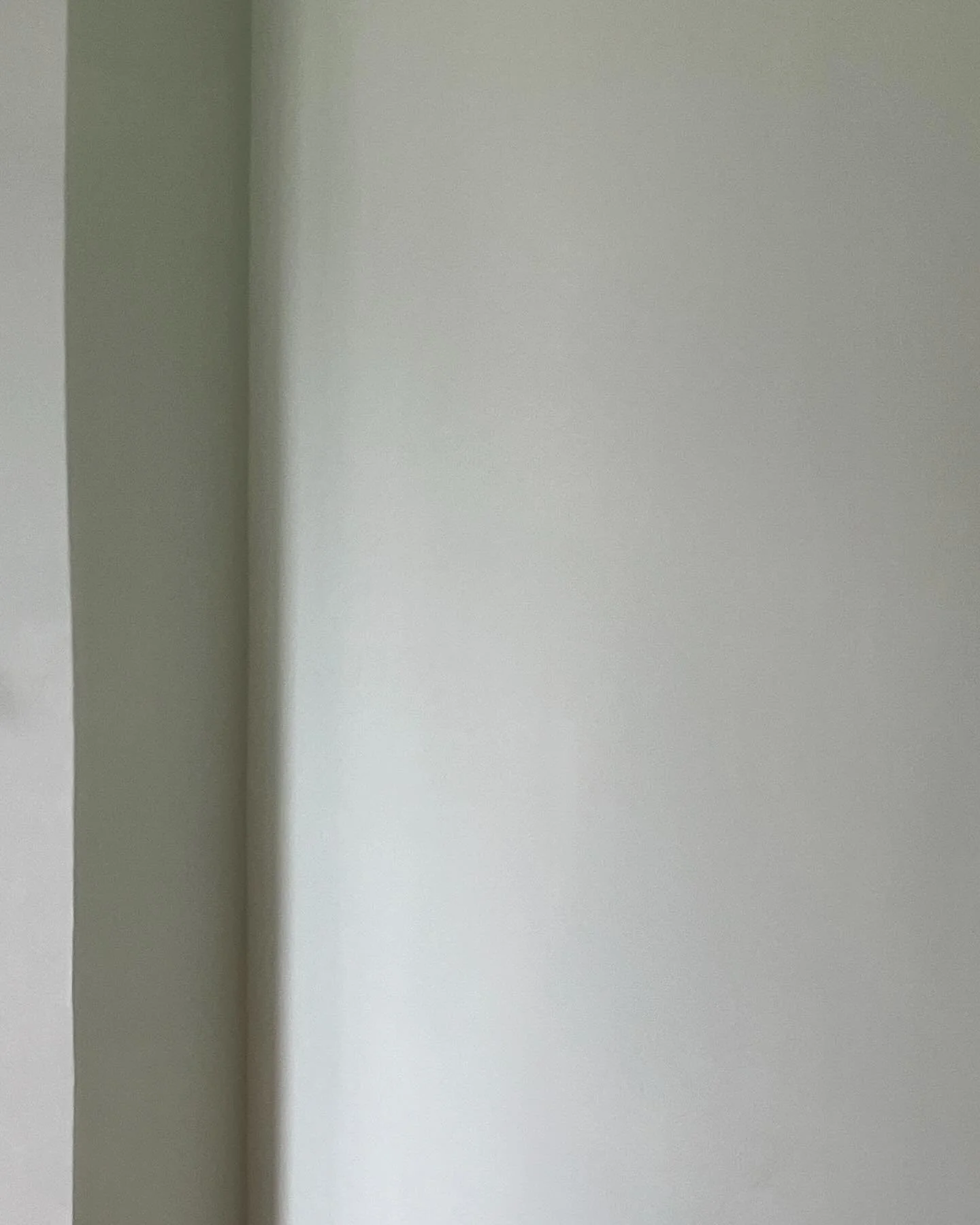 Green ladder for applying Appalachian Green to a bedroom in Park Slope.