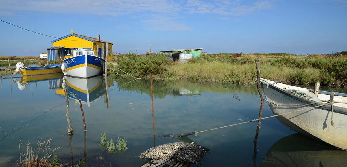 balade-decouverte-marais-oleron-1200x580.jpg