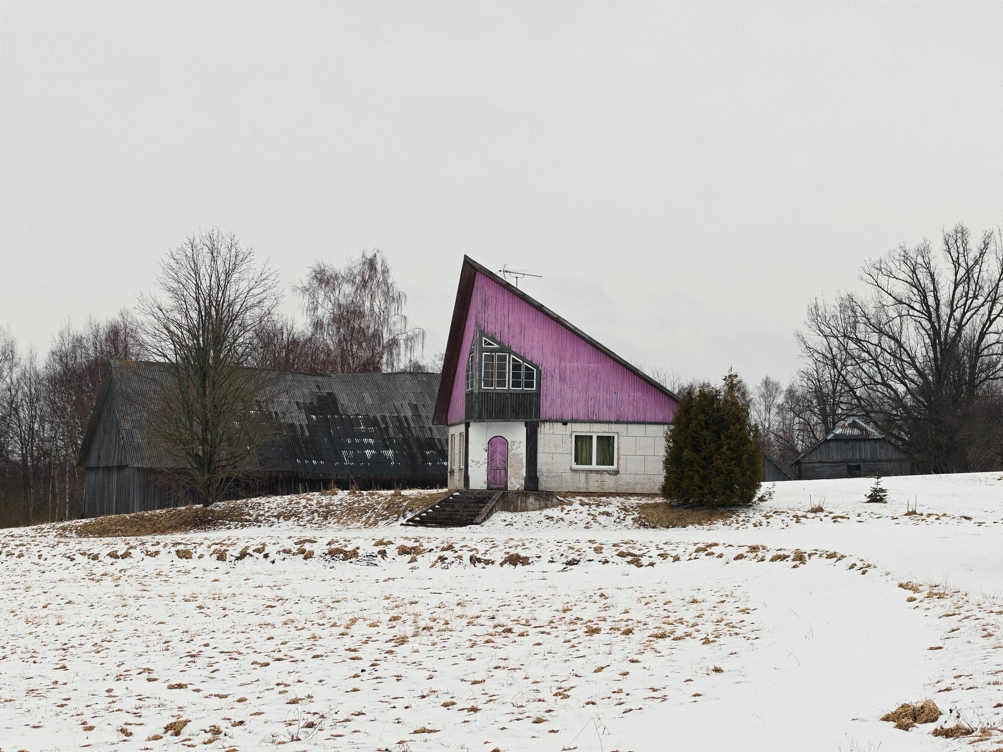 A house with a steep roof and a purple door on a snowy hill, surrounded by leafless trees and old wooden buildings.