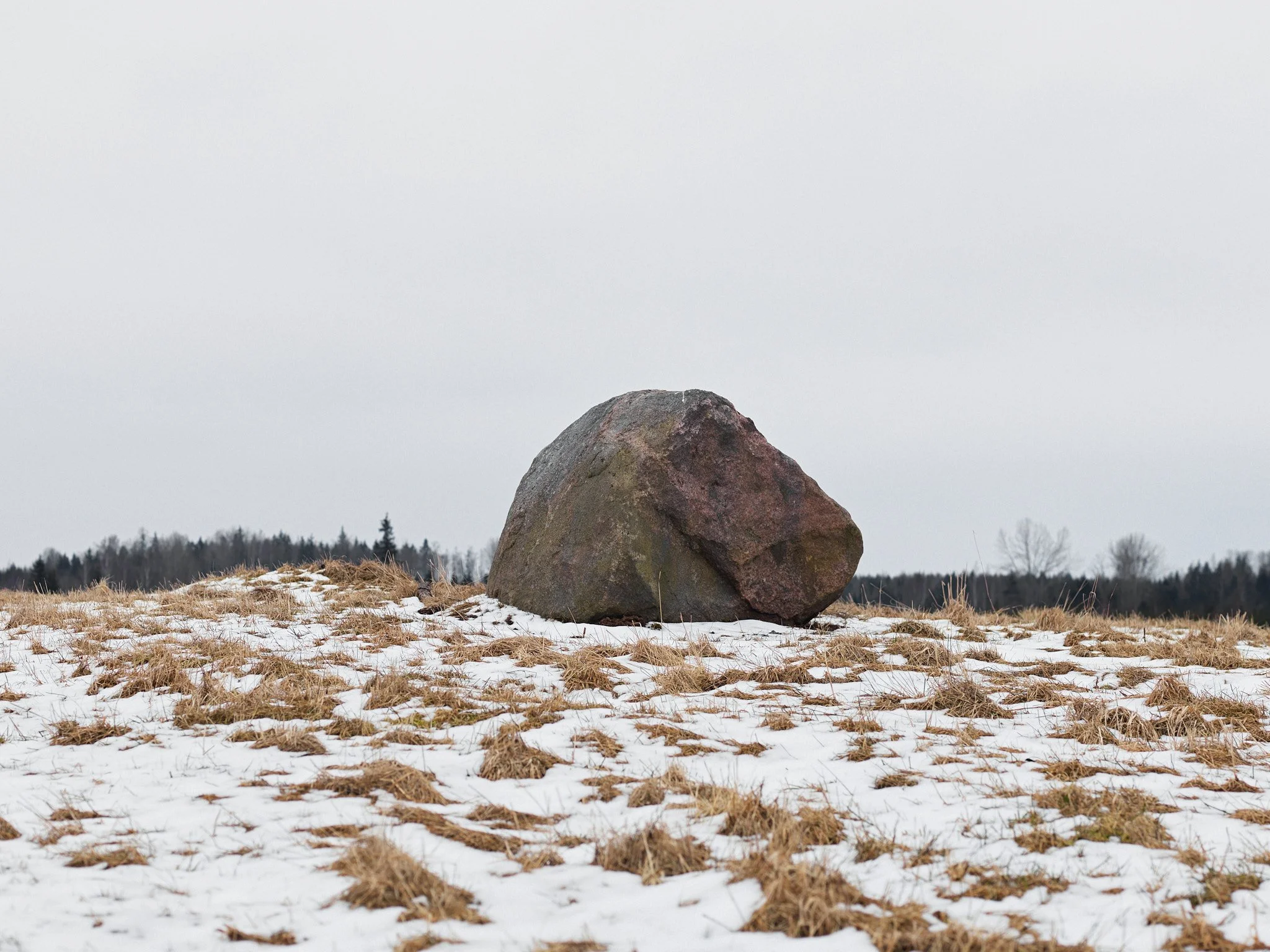 A large rock on a snow-covered field with patches of brown grass, and a line of trees in the distance under an overcast sky.