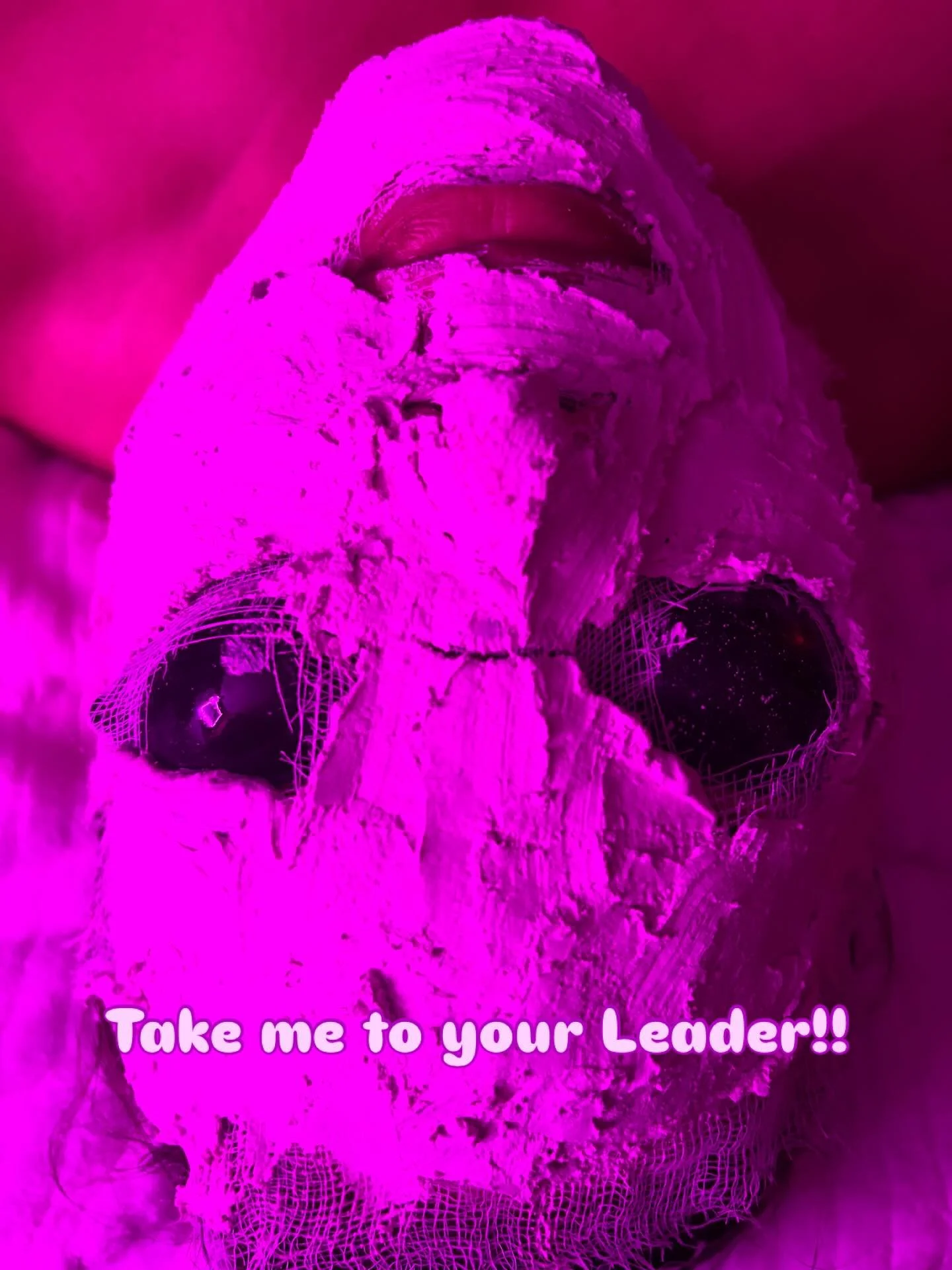 Atmosphere Skin Sanctuary offers Repechage products that are transformative and give you that &ldquo;WOW where you get that glow ?&rdquo; LOOK. Book now!