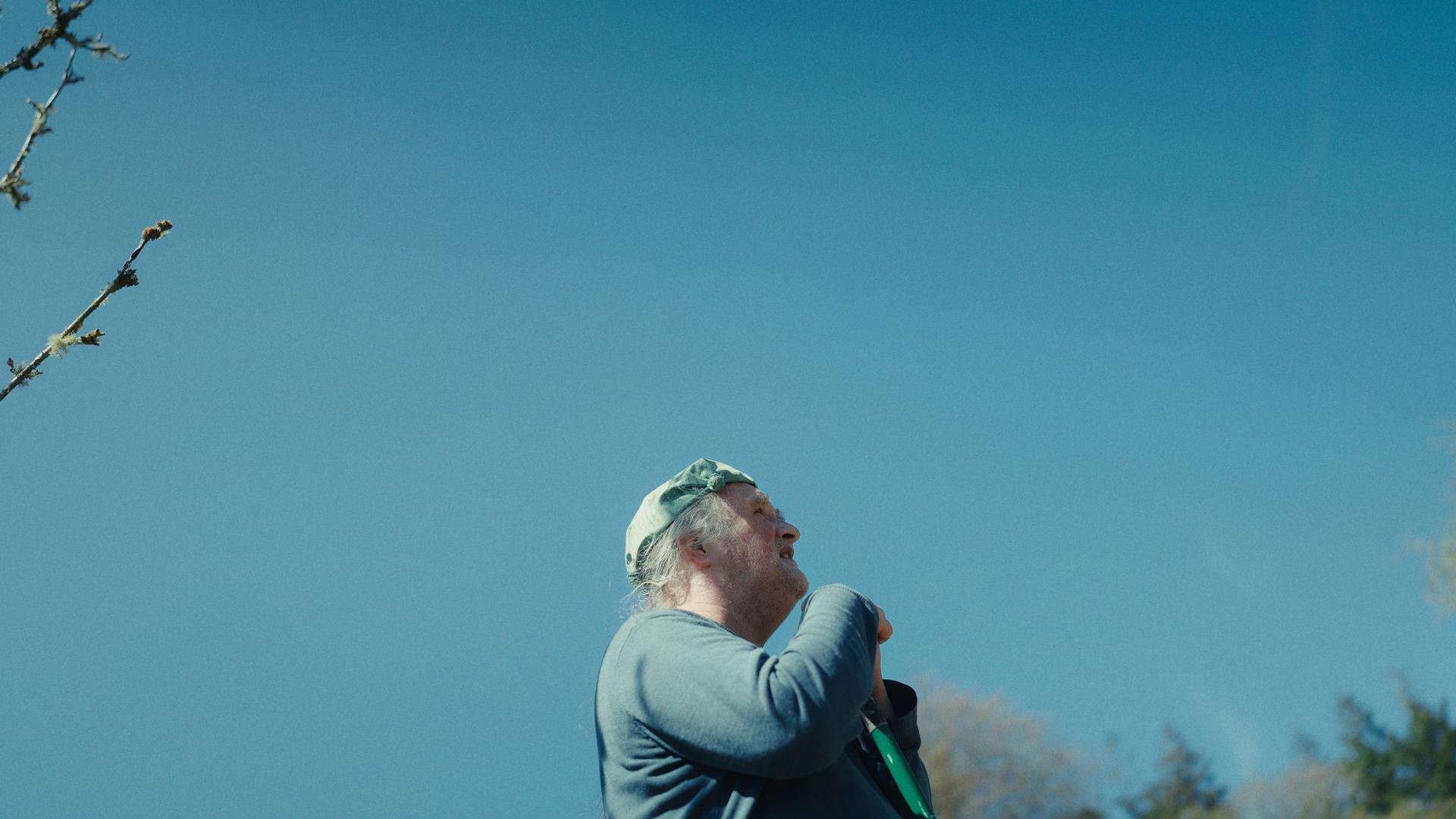 Hidden Trees (Short Doc / Sophie Van Bree / 2026)