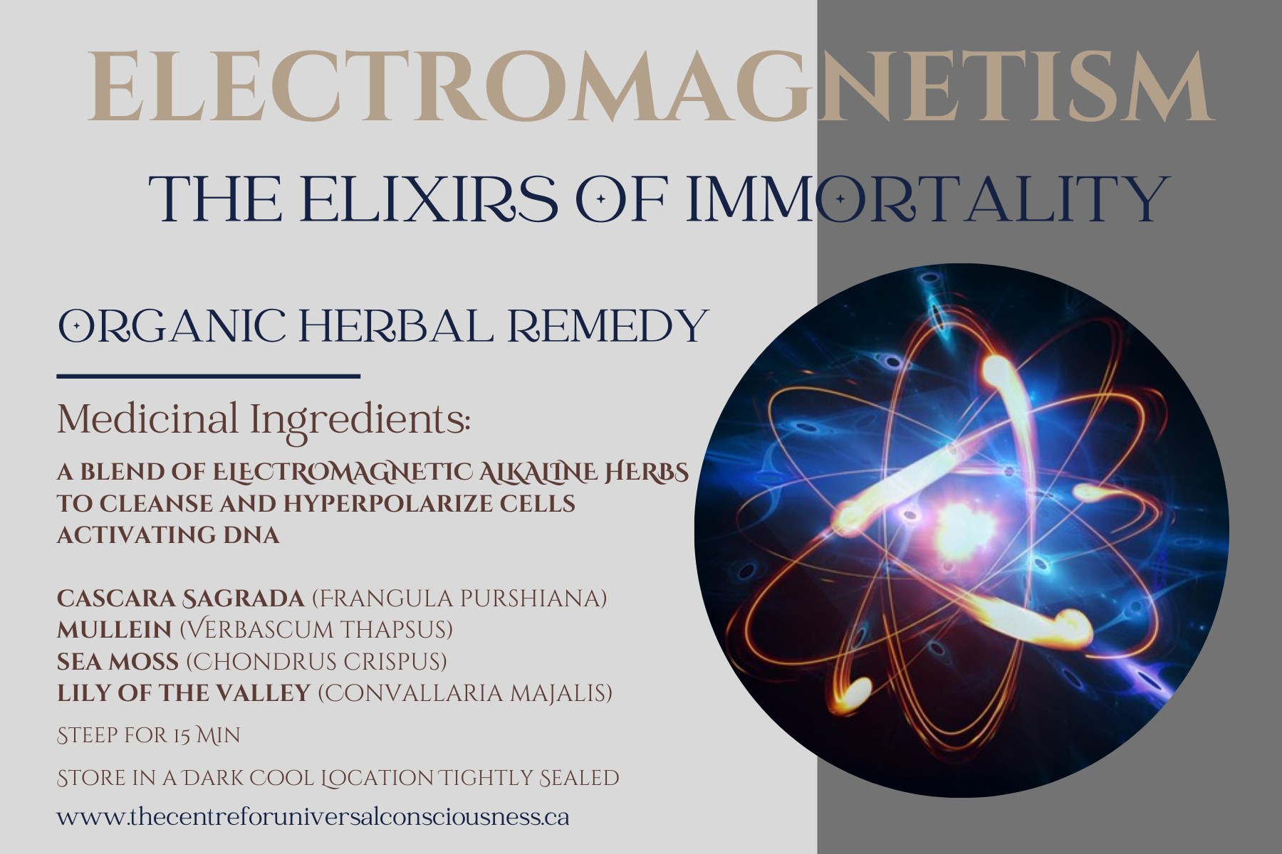 ELECTROMAGENTISM LABEL.png