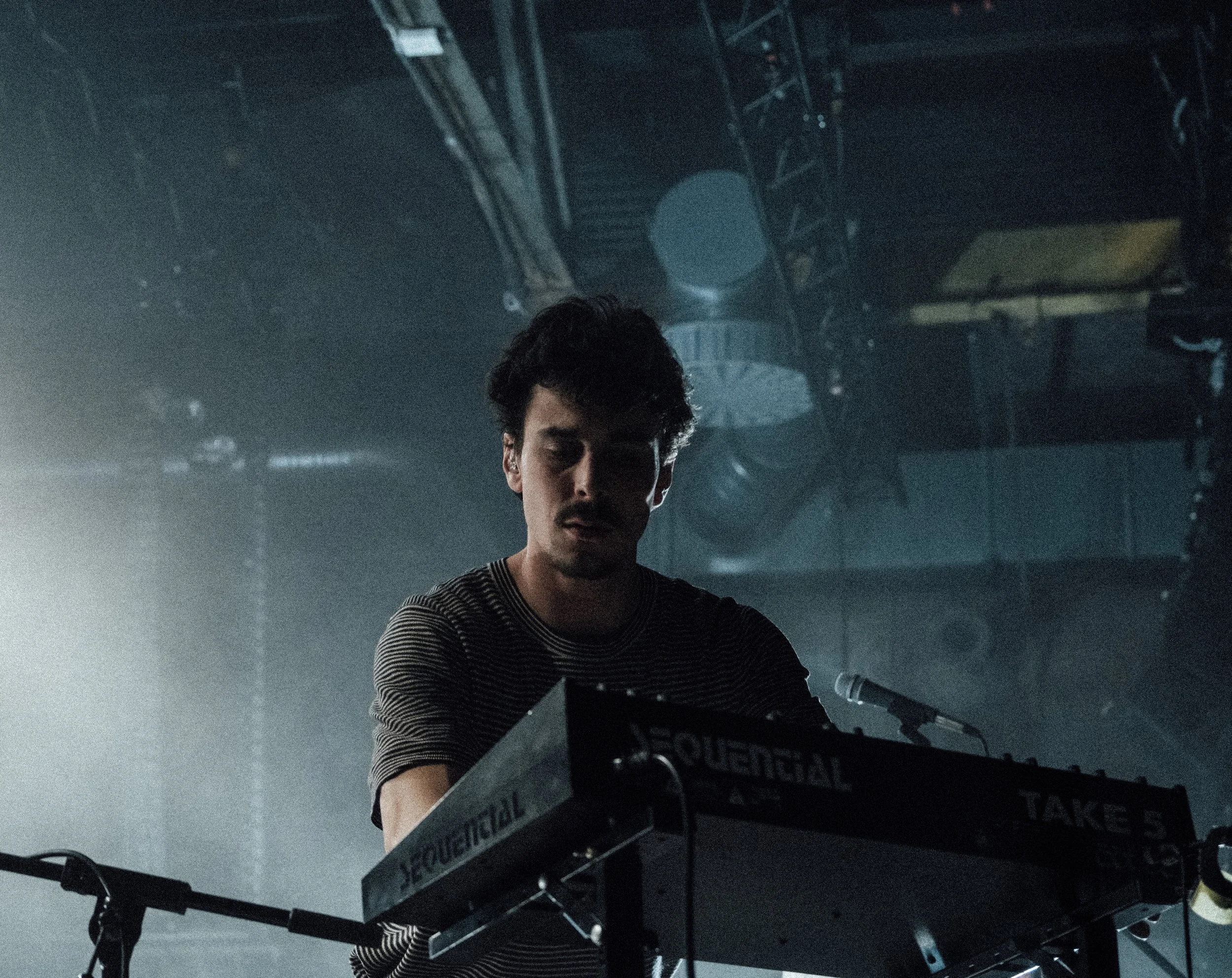 2025-04-06_Buntspecht (11 von 21).jpg