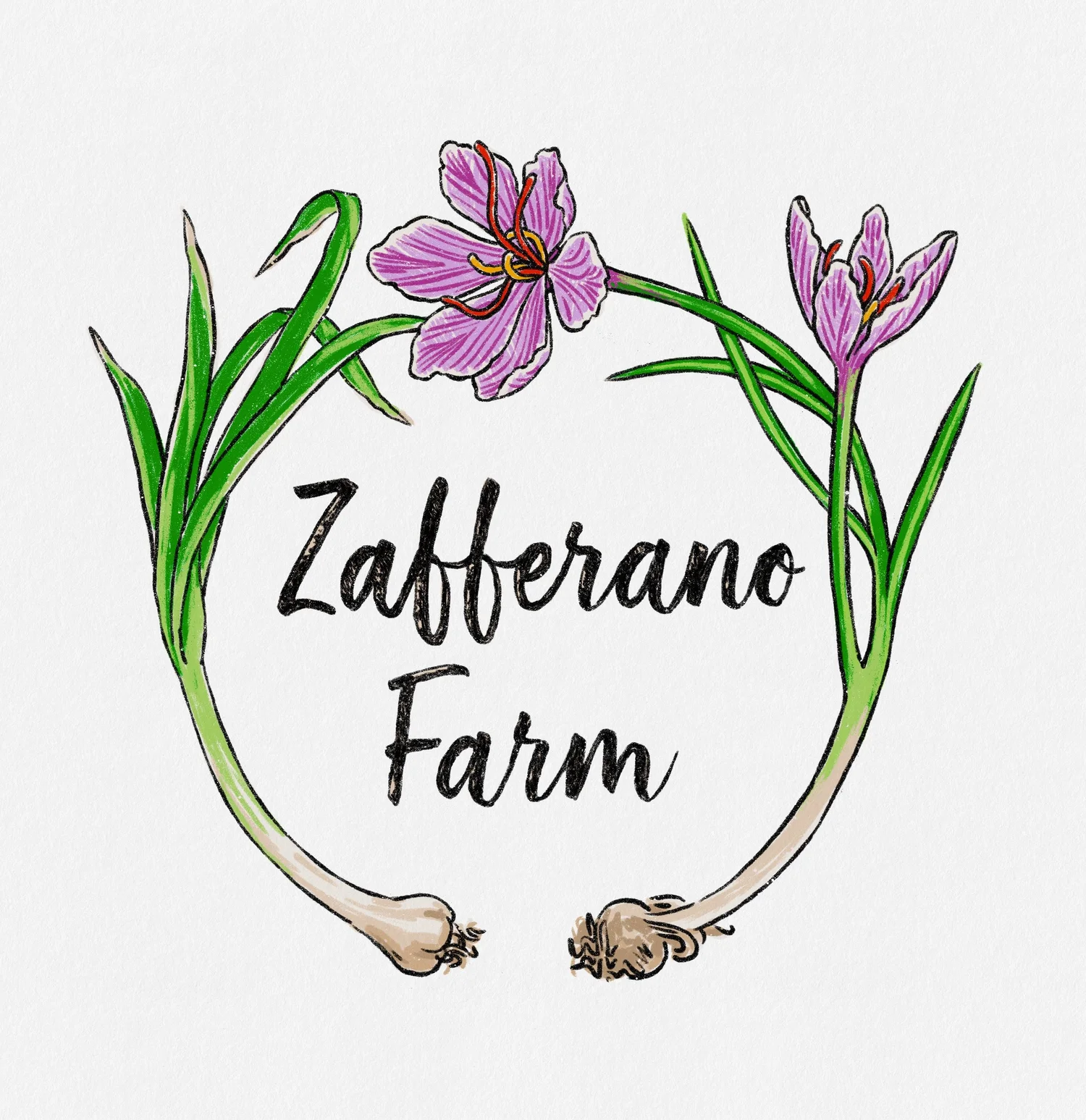 Zafferano Farm