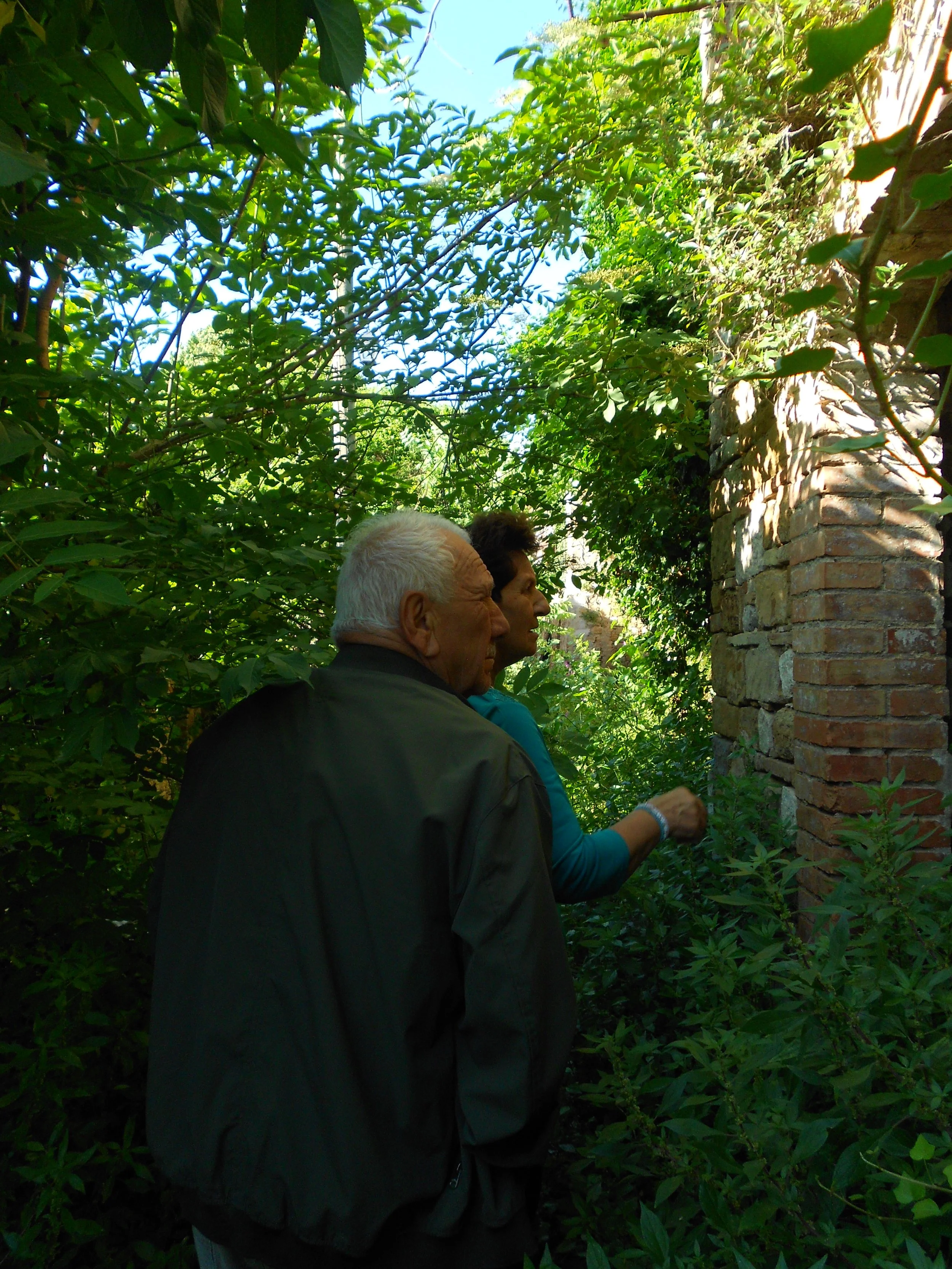Deux personnes, un homme âgé et une femme, observant une vieille muraille en briques dans un environnement végétal dense
