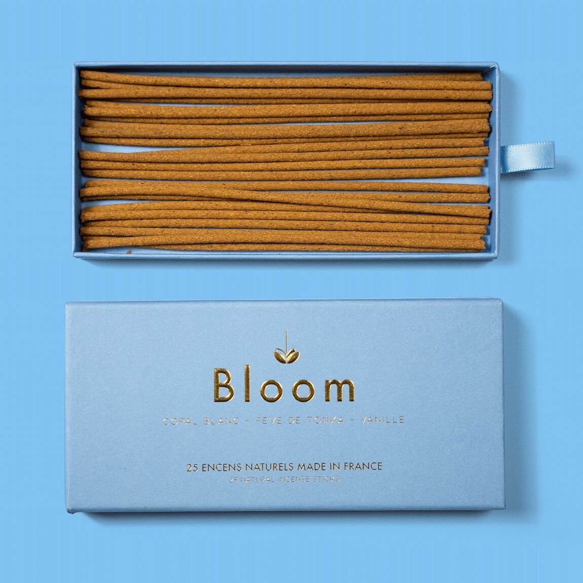 Bloom Tonka 2.jpeg