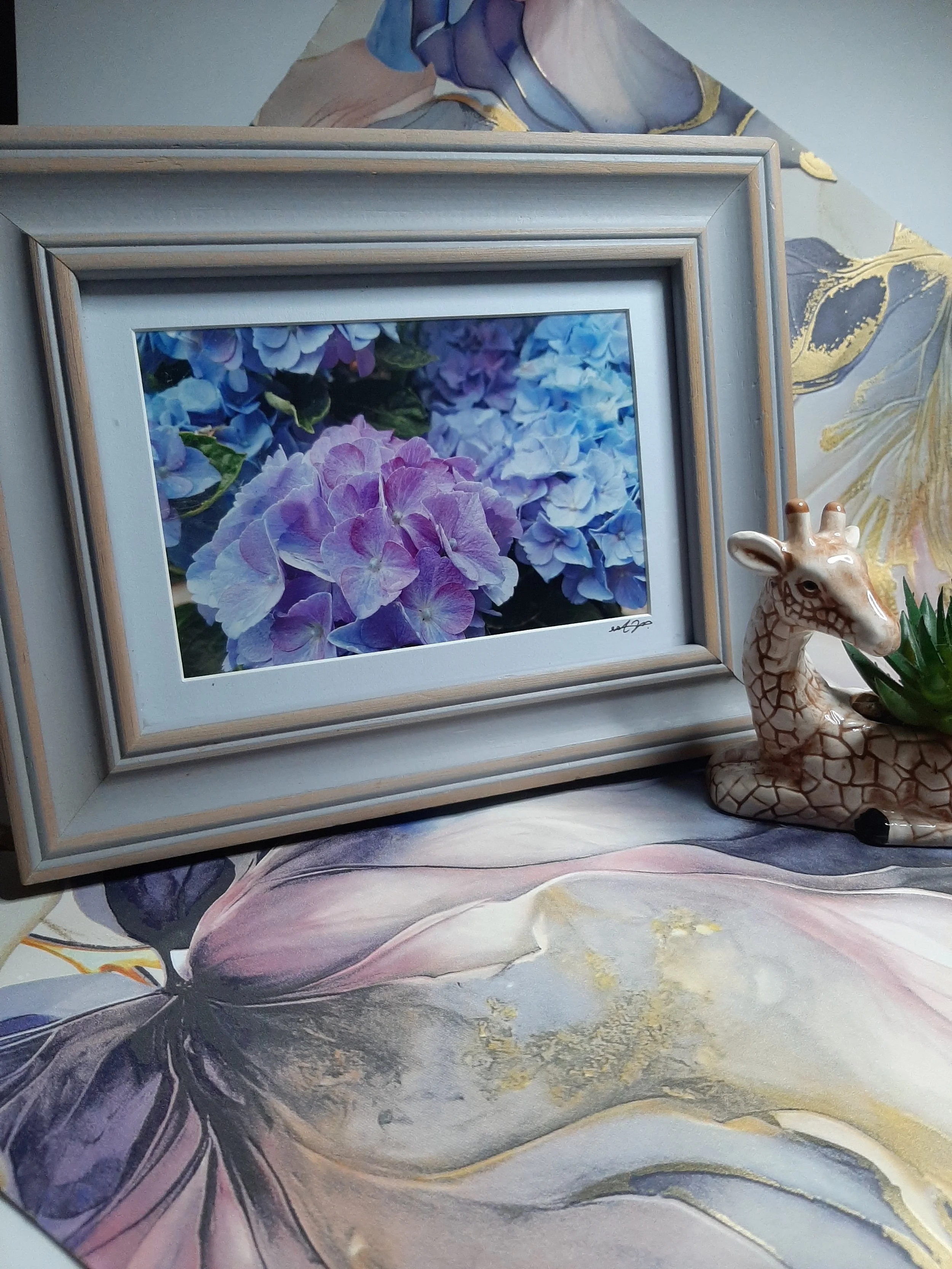 Hydrangea Anya Blue Clusters Floral Flower Botanical Photography