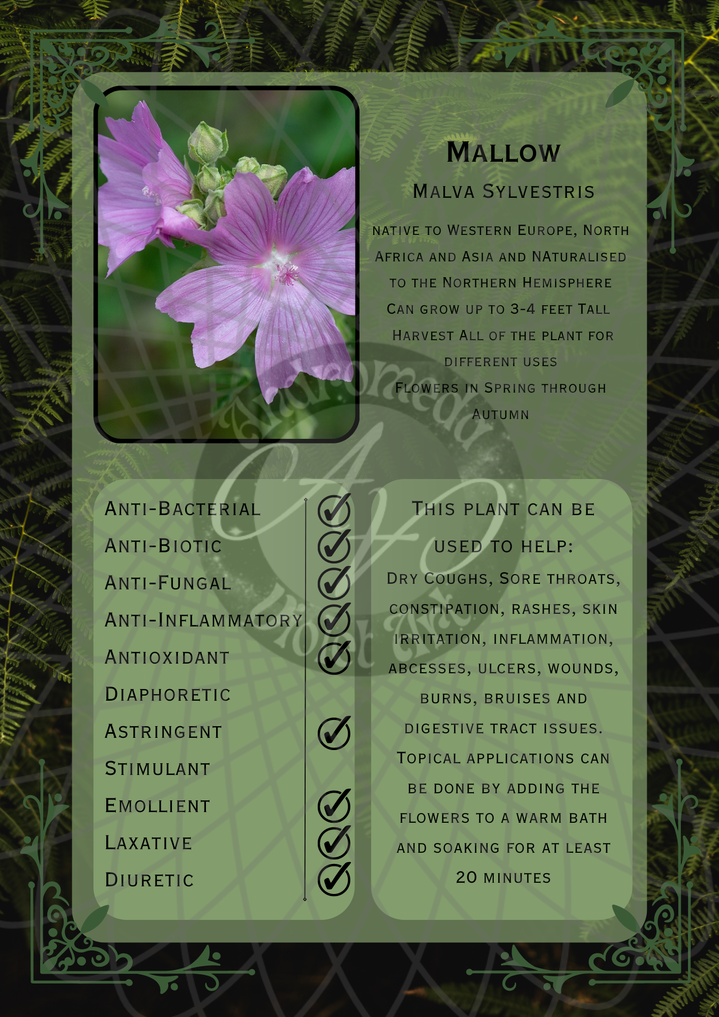 Mallow Dark -WM .png