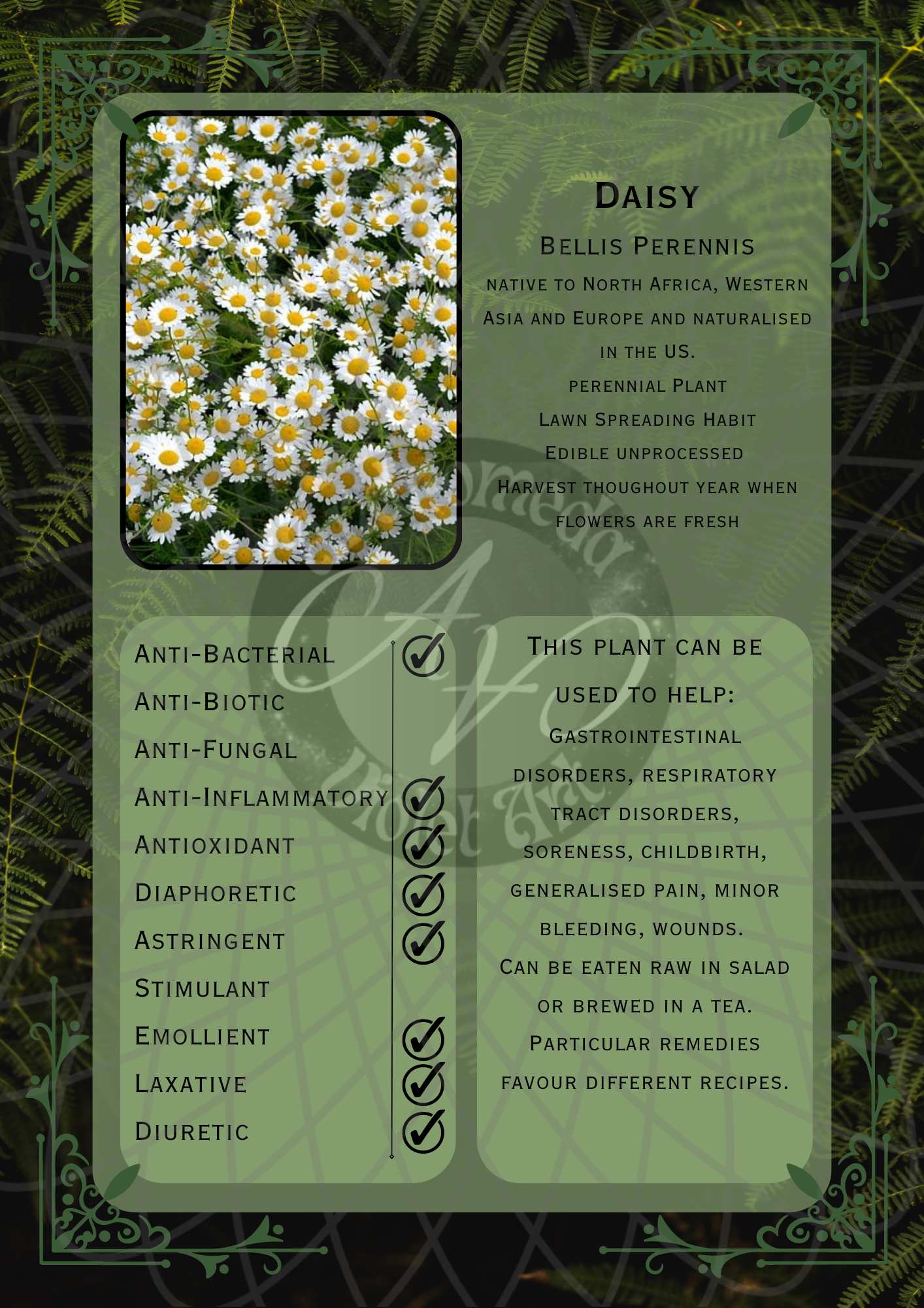 Daisy Dark -WM.png