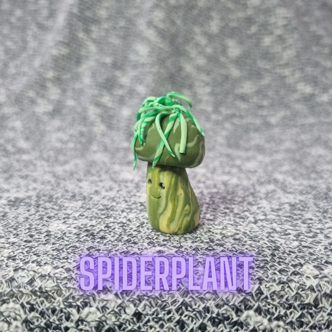 Spiderplant.jpg